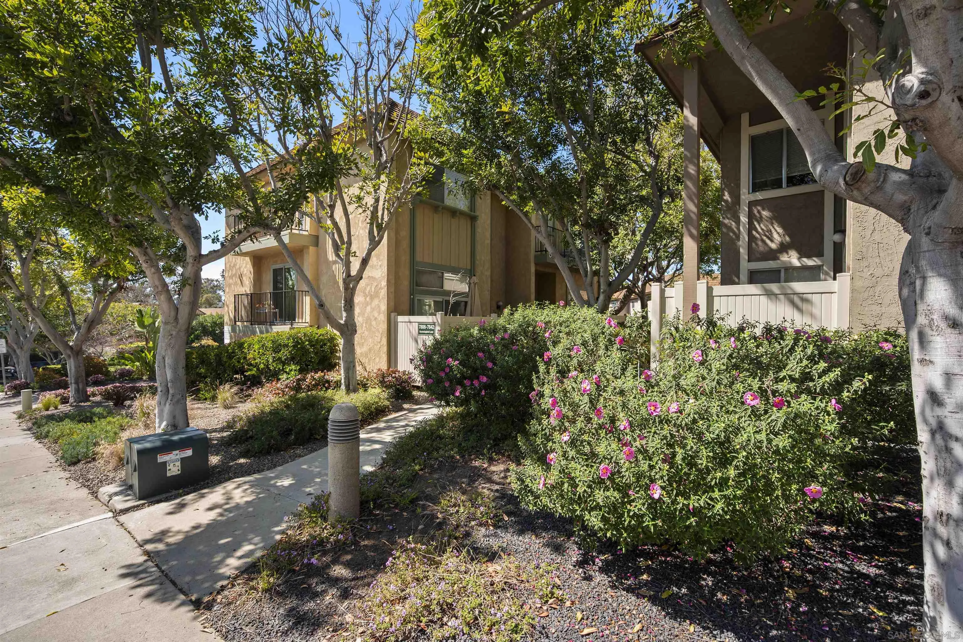 Photo #3: 250024178 Listing 