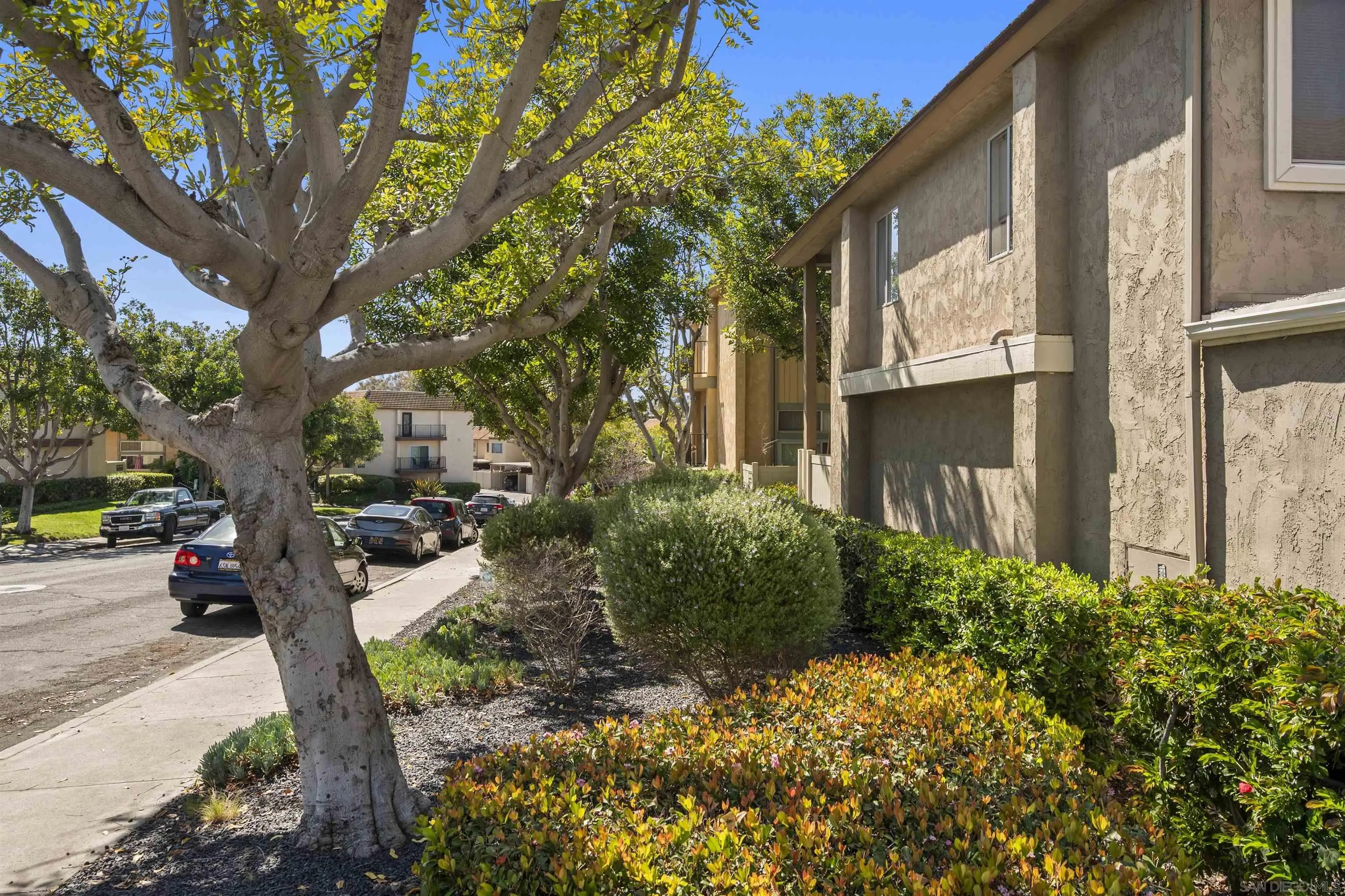 Photo #4: 250024178 Listing 