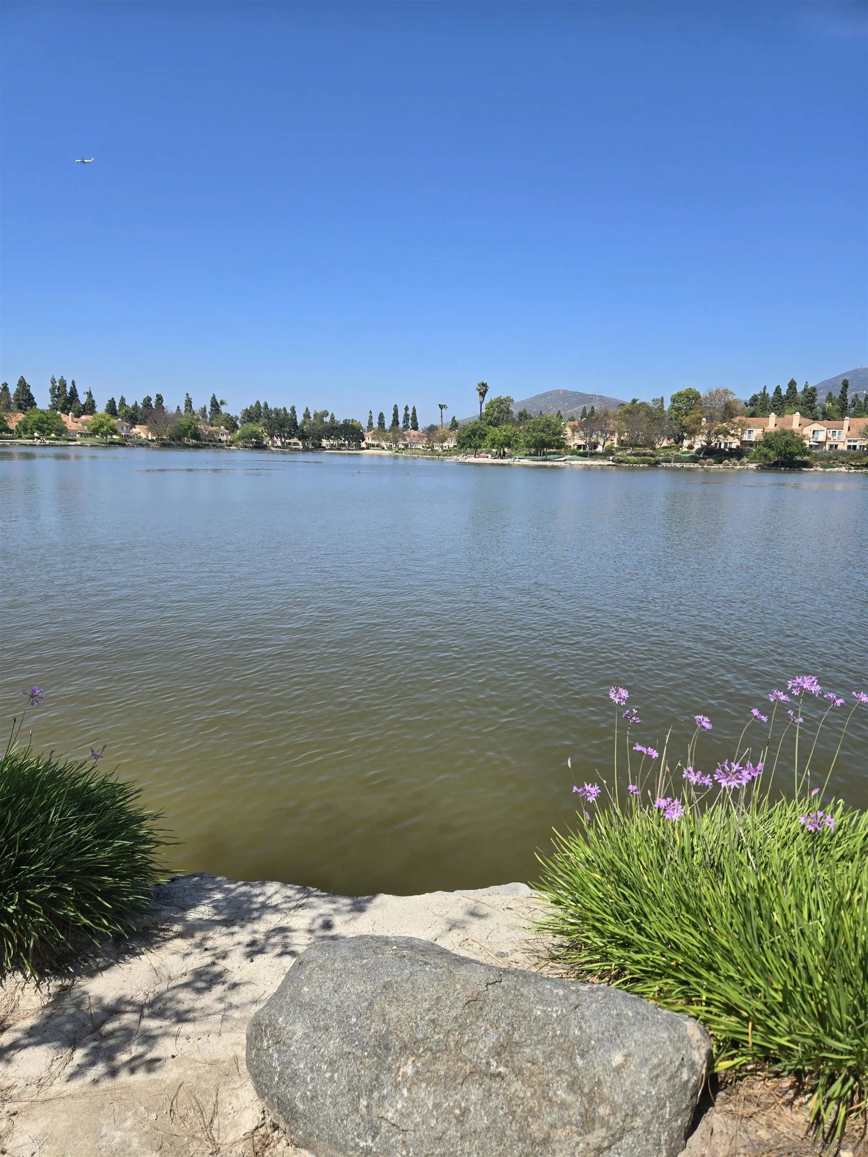 Photo #6: 250024458 Listing 