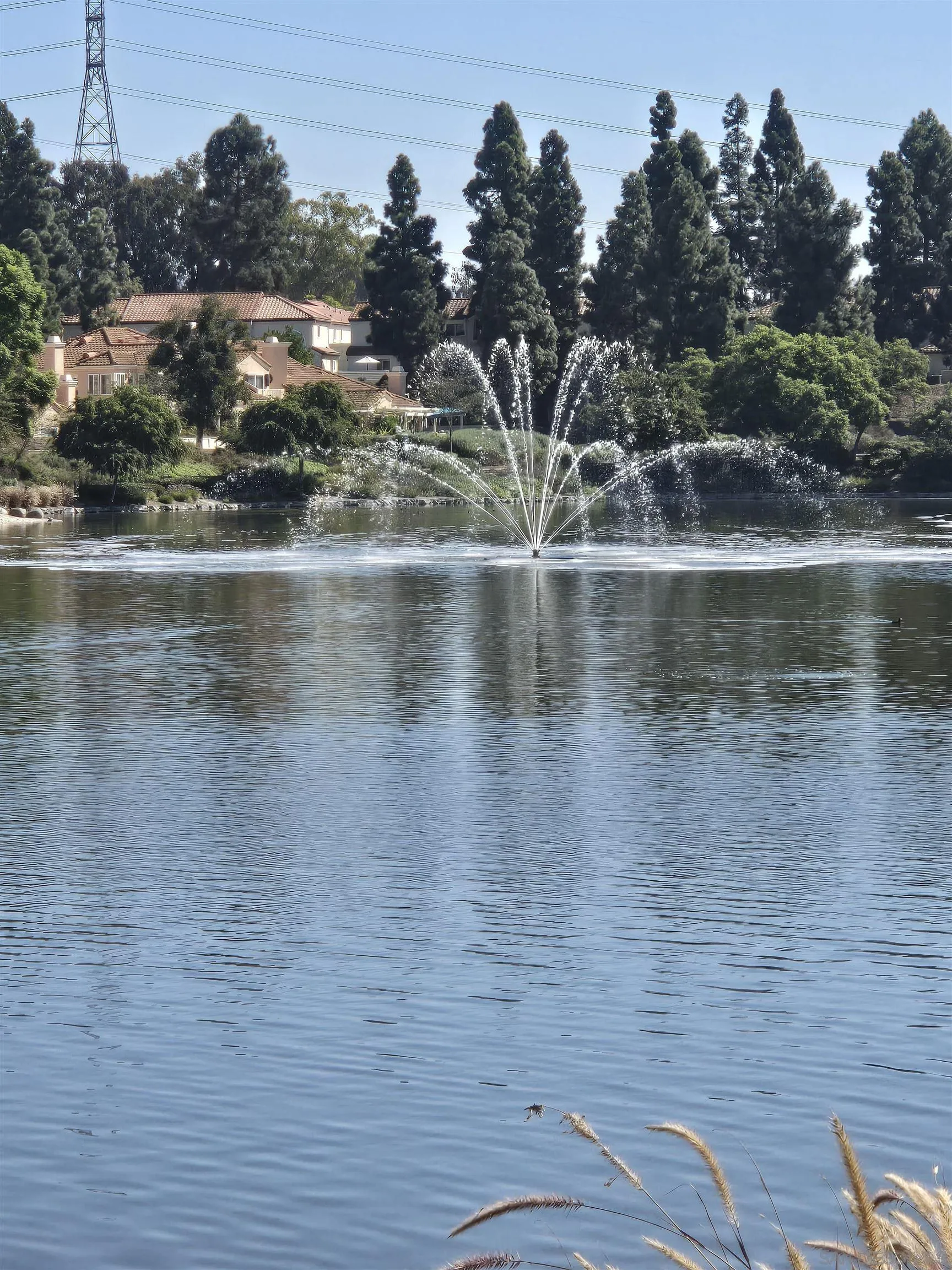 Photo #3: 250024458 Listing 
