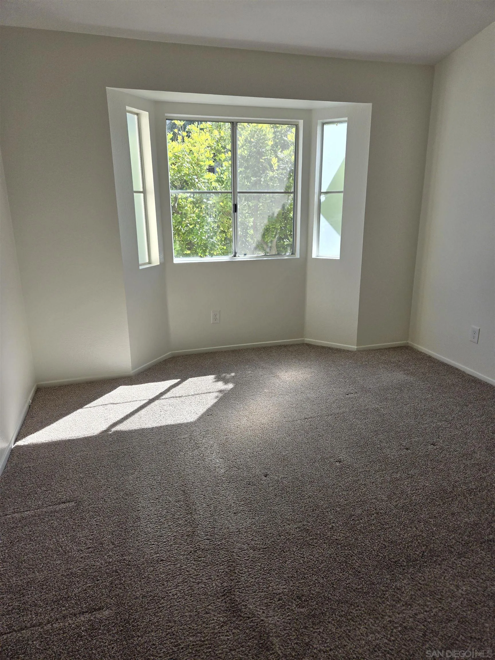 Photo #26: 250024458 Listing: Photo #26