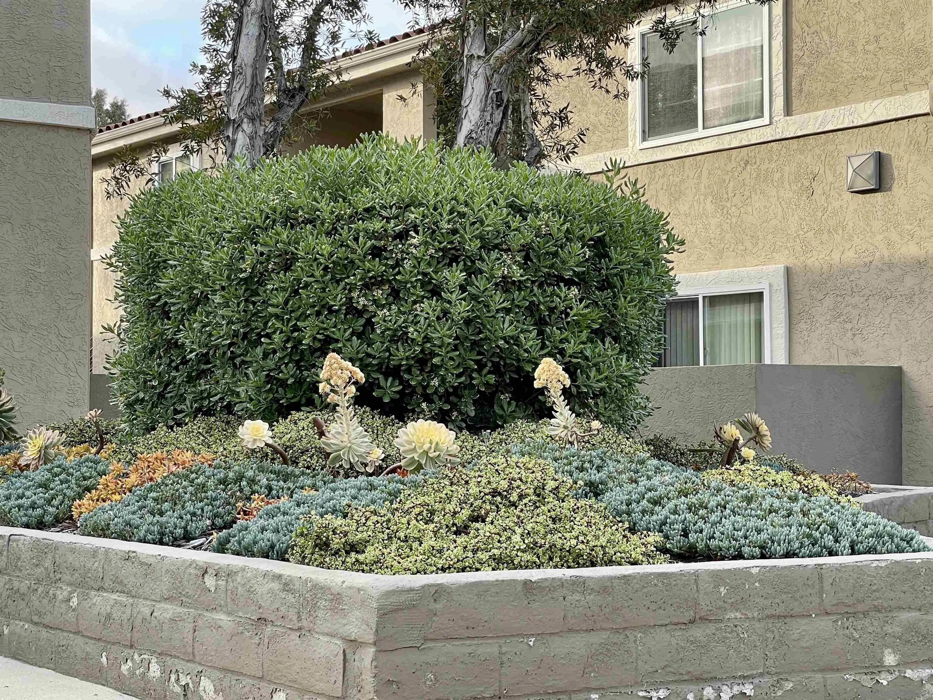 Photo #6: 250025026 Listing 