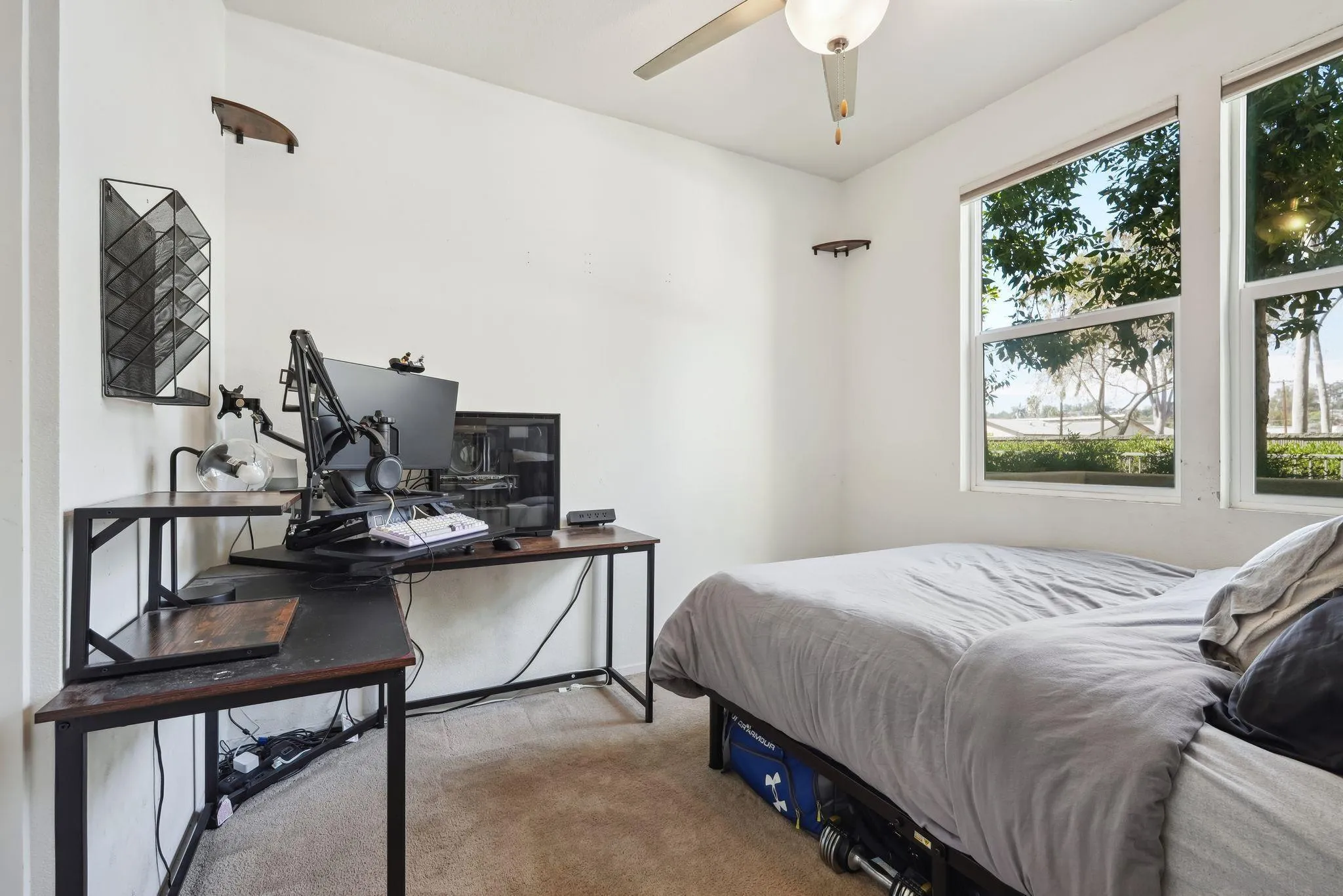 Photo #29: 250025249 Listing: Photo #29