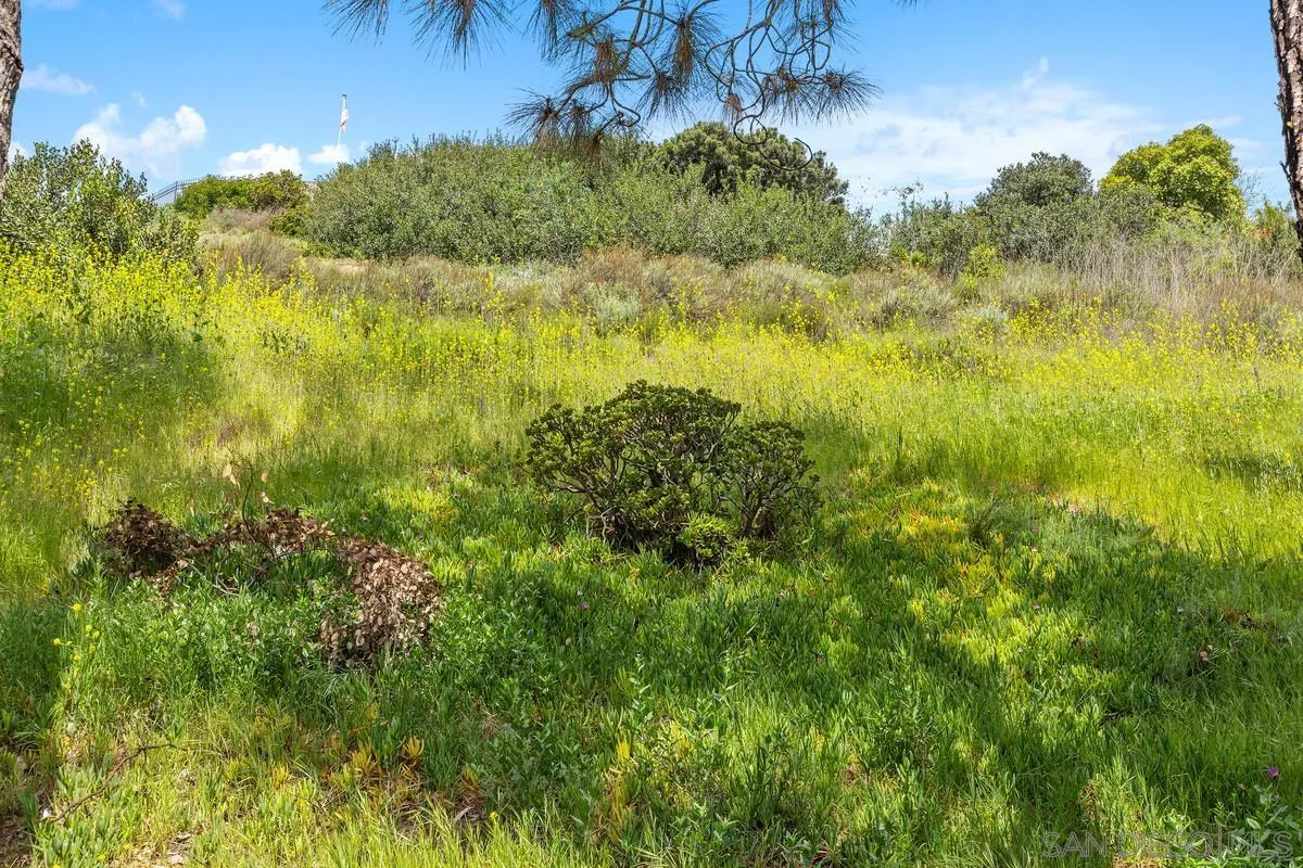 Photo #2: 250026229 Listing 