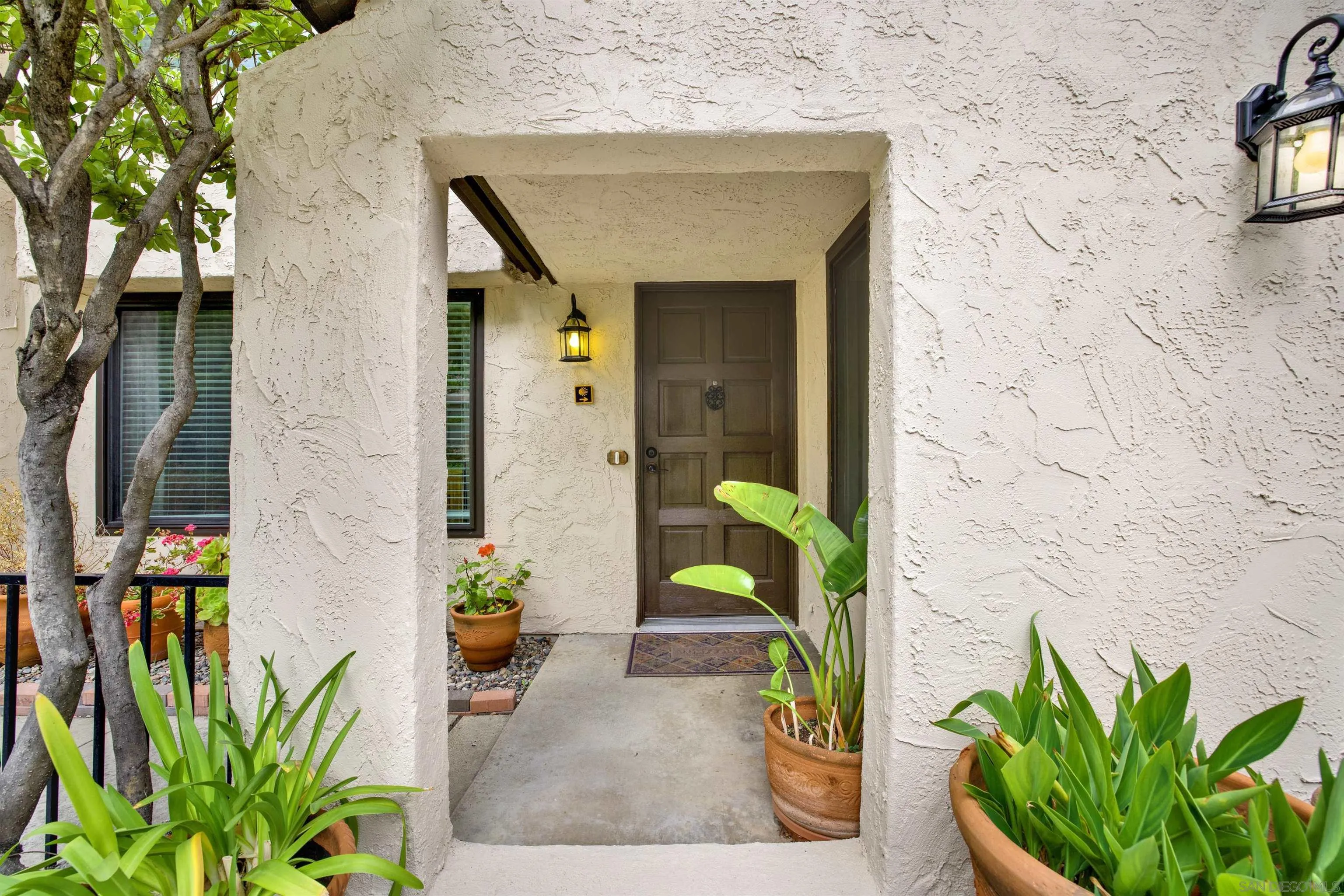 Photo #2: 250026872 Listing: Photo #2