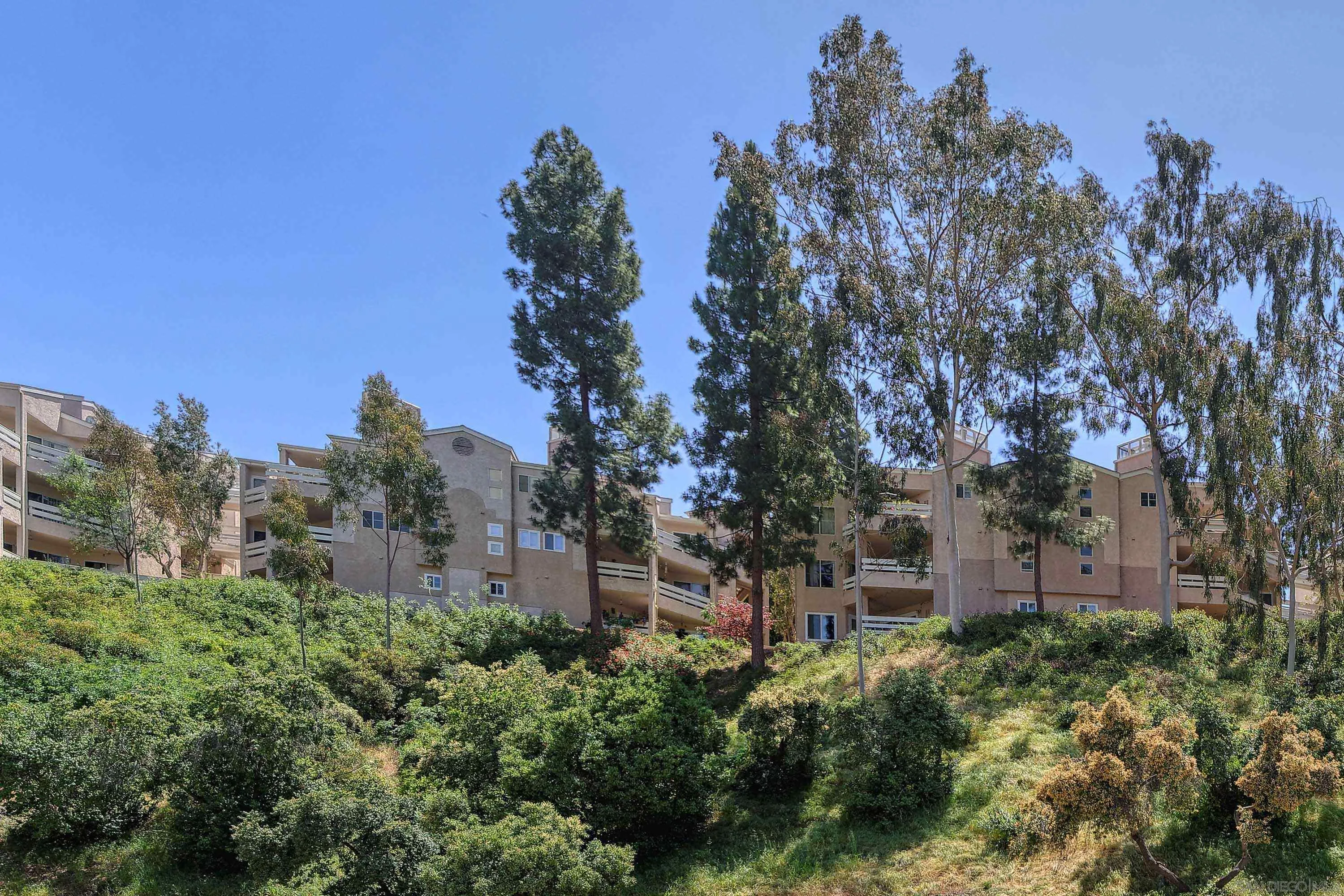 Primary Photo for MLS#: 250027206