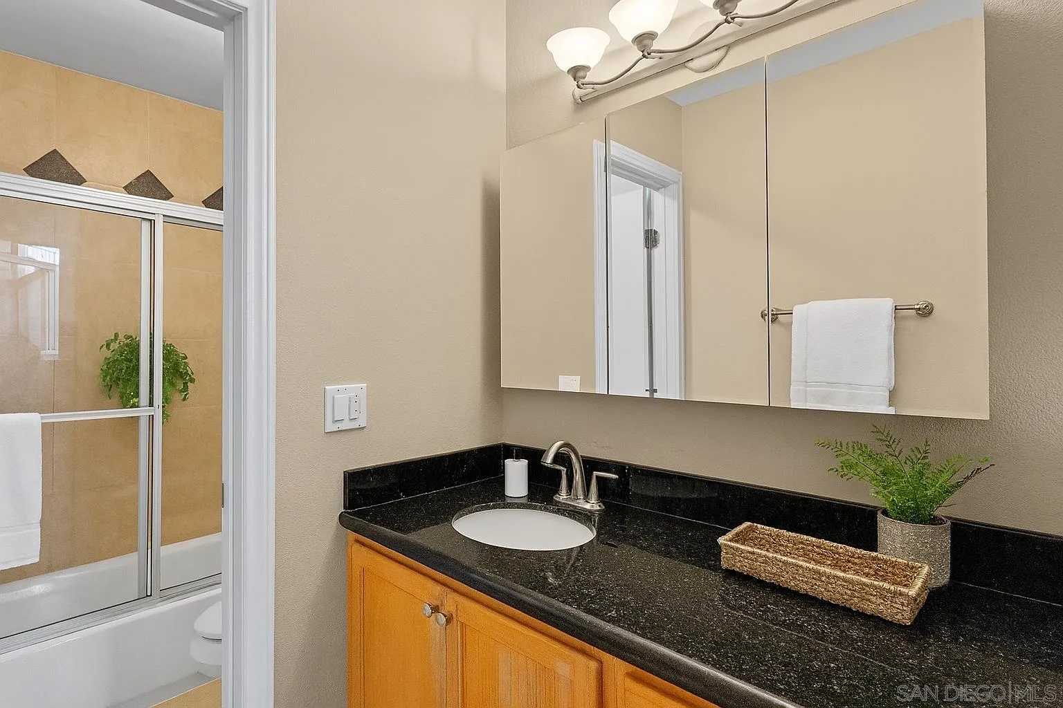 Photo #6: 250027459 Listing 