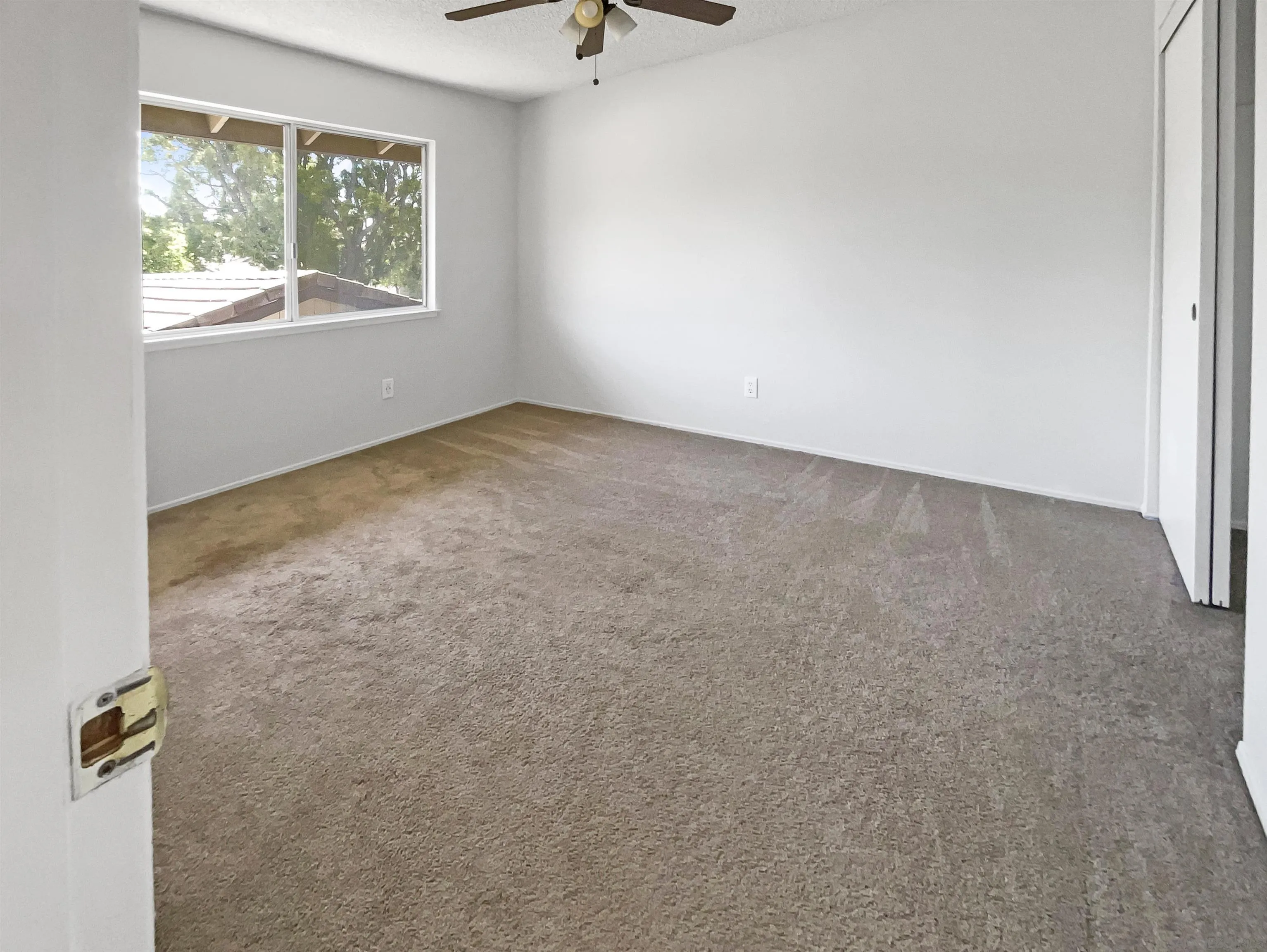 Photo #17: 250027894 Listing: Photo #17