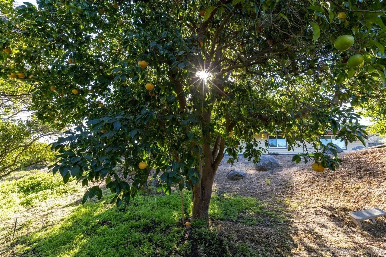https://cdn.realtyfeed.com/cdn/127/250027996/3dcd6057caa40d7fb0036df3b97e2dc2.webp