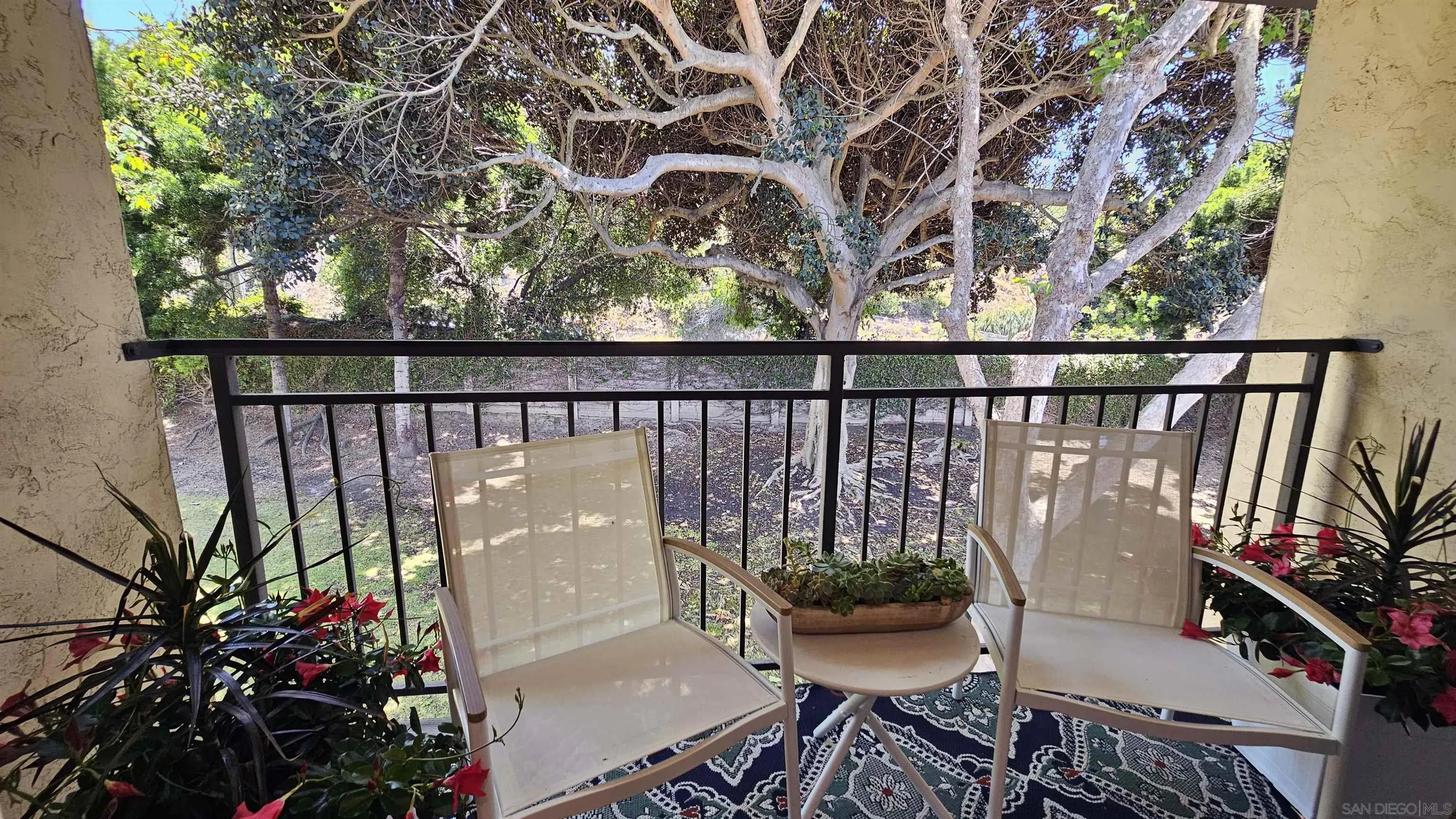 Photo #6: 250028183 Listing 