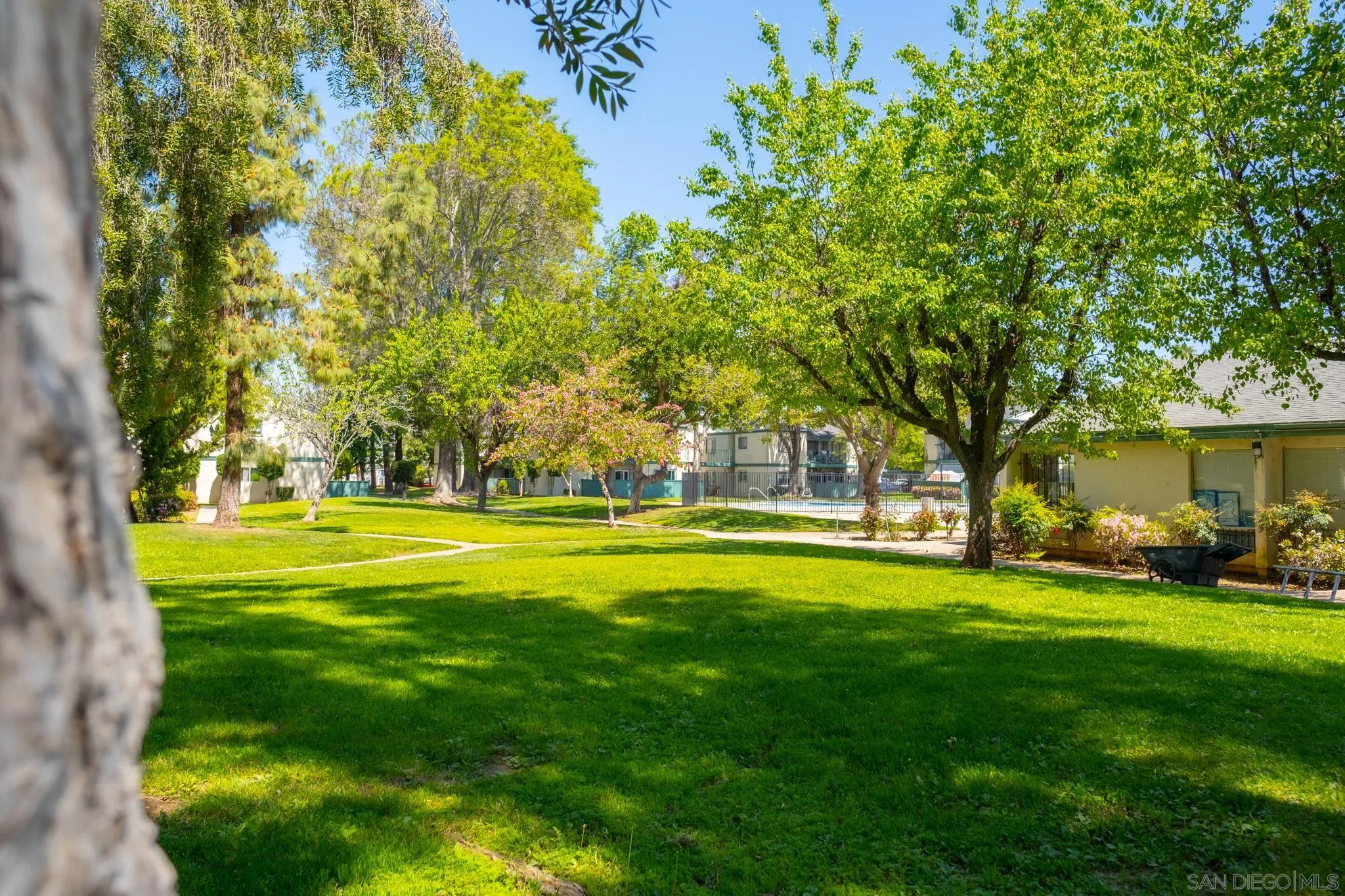 Photo #3: 250028191 Listing 