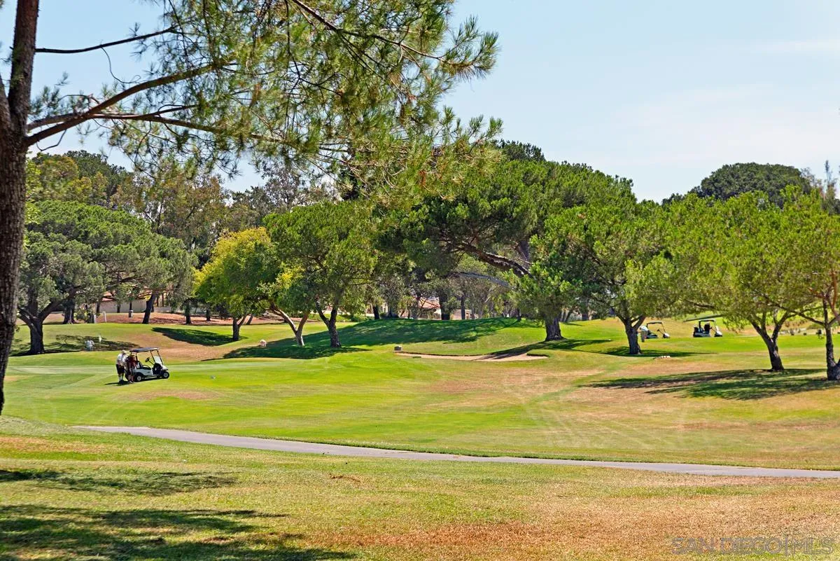 Photo #2: 250028200 Listing 
