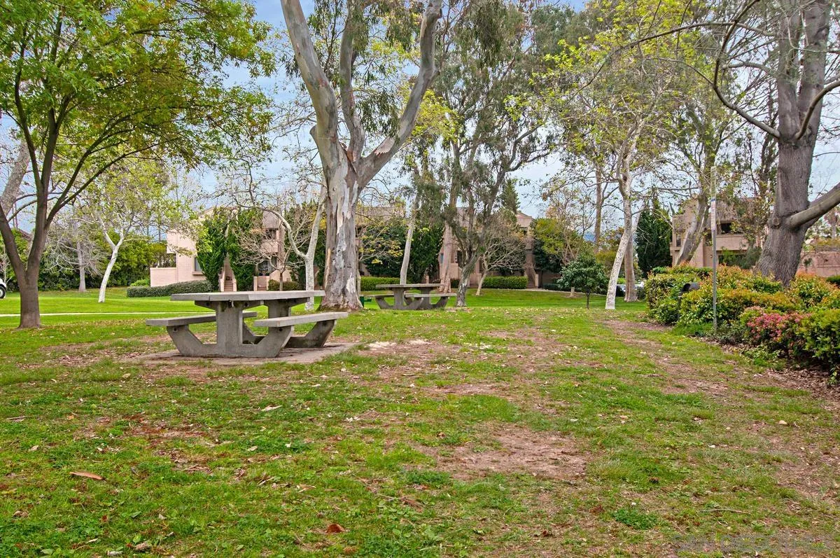 Photo #32: 250028400 Listing: Photo #32