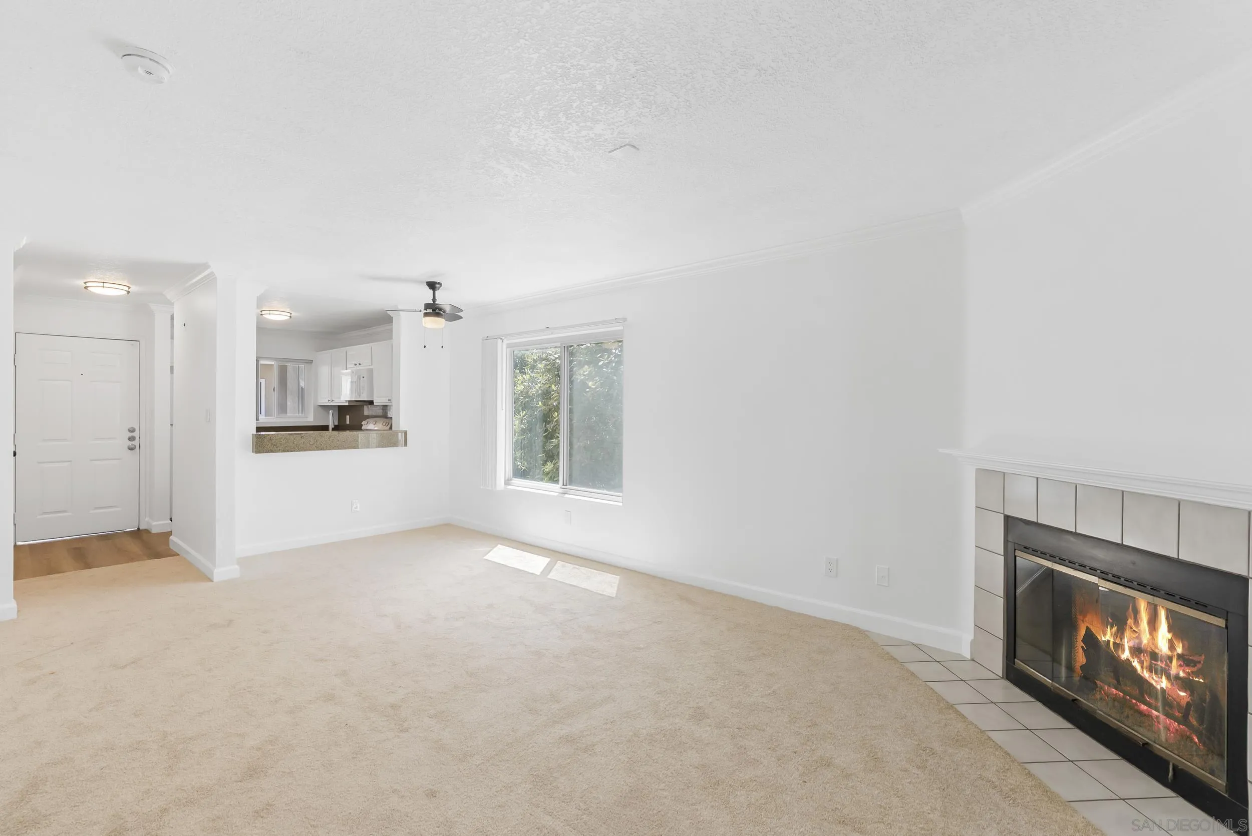Photo #11: 250028485 Listing: Photo #11