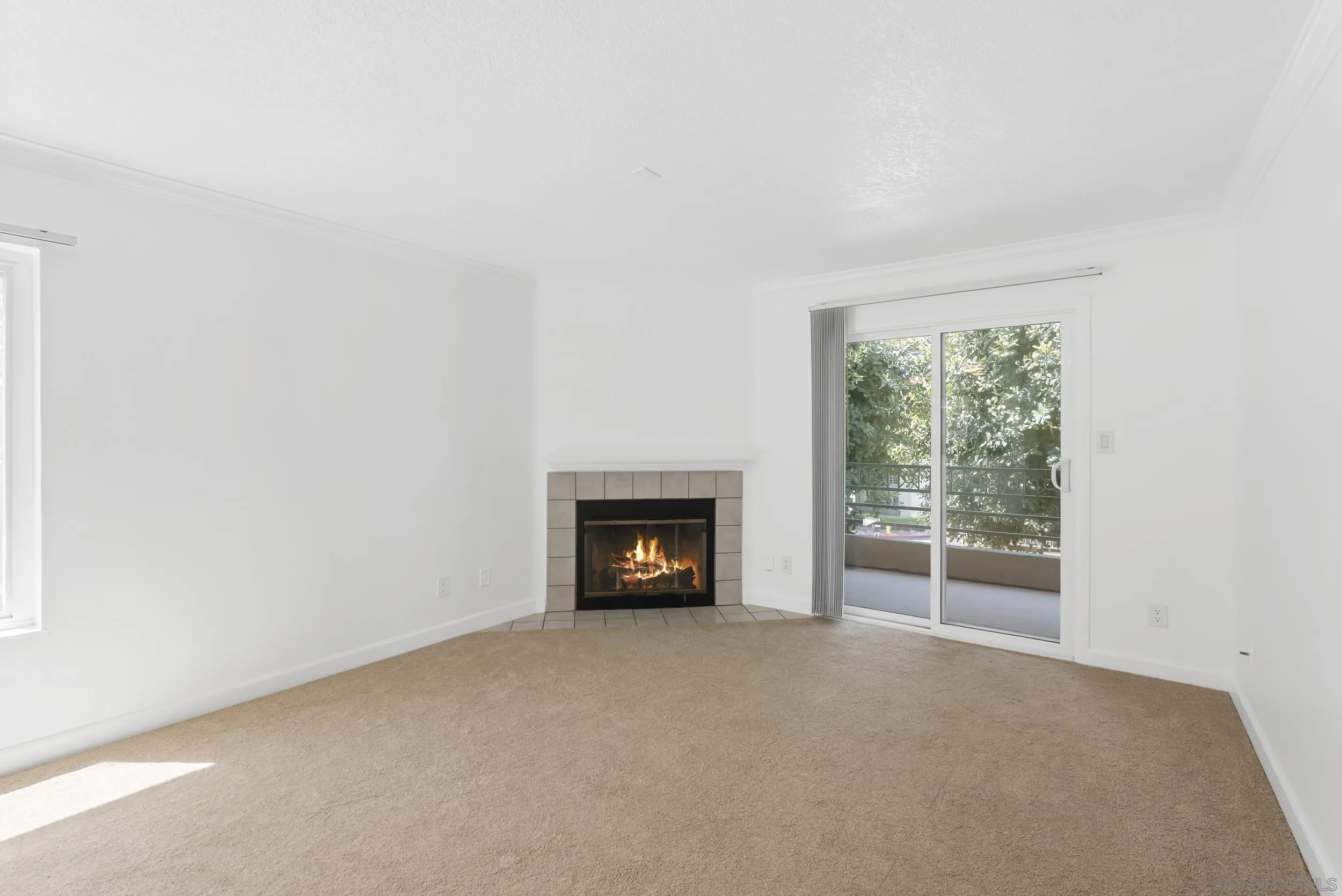 Photo #14: 250028485 Listing: Photo #14