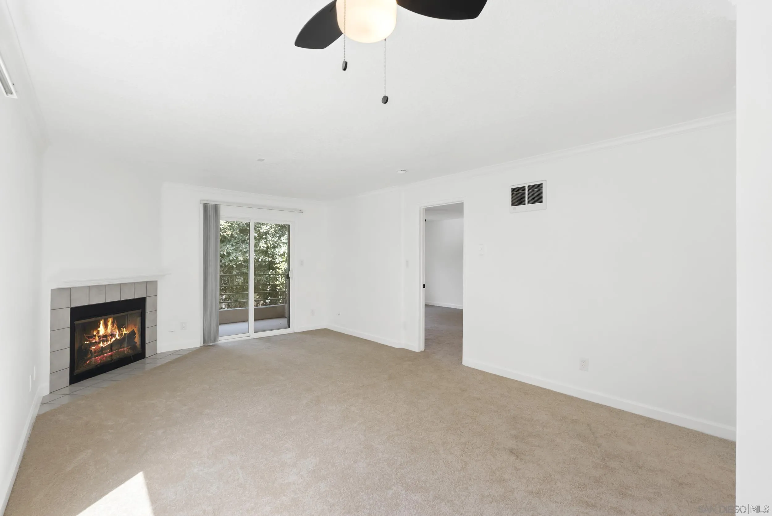 Photo #13: 250028485 Listing: Photo #13