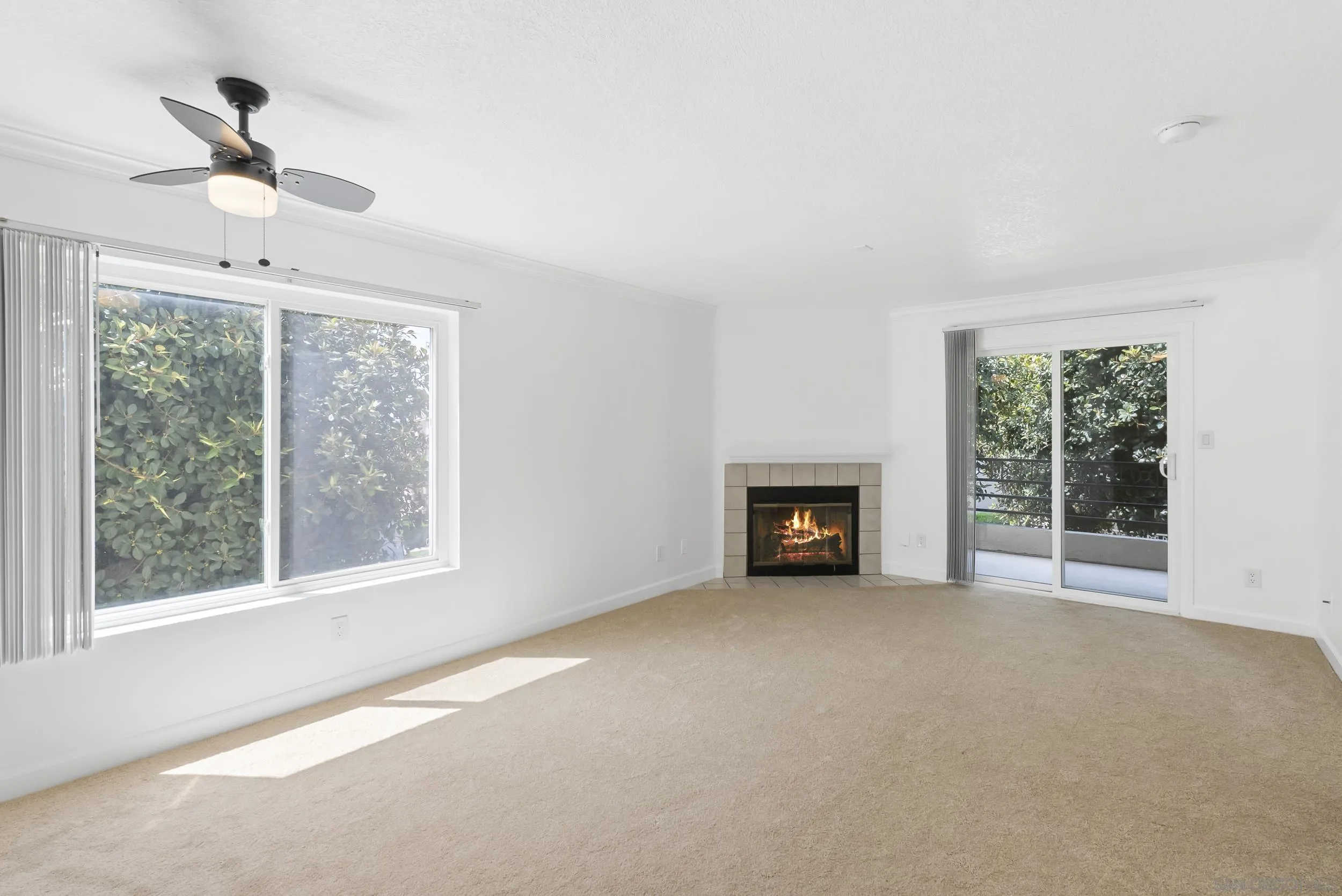 Photo #10: 250028485 Listing: Photo #10
