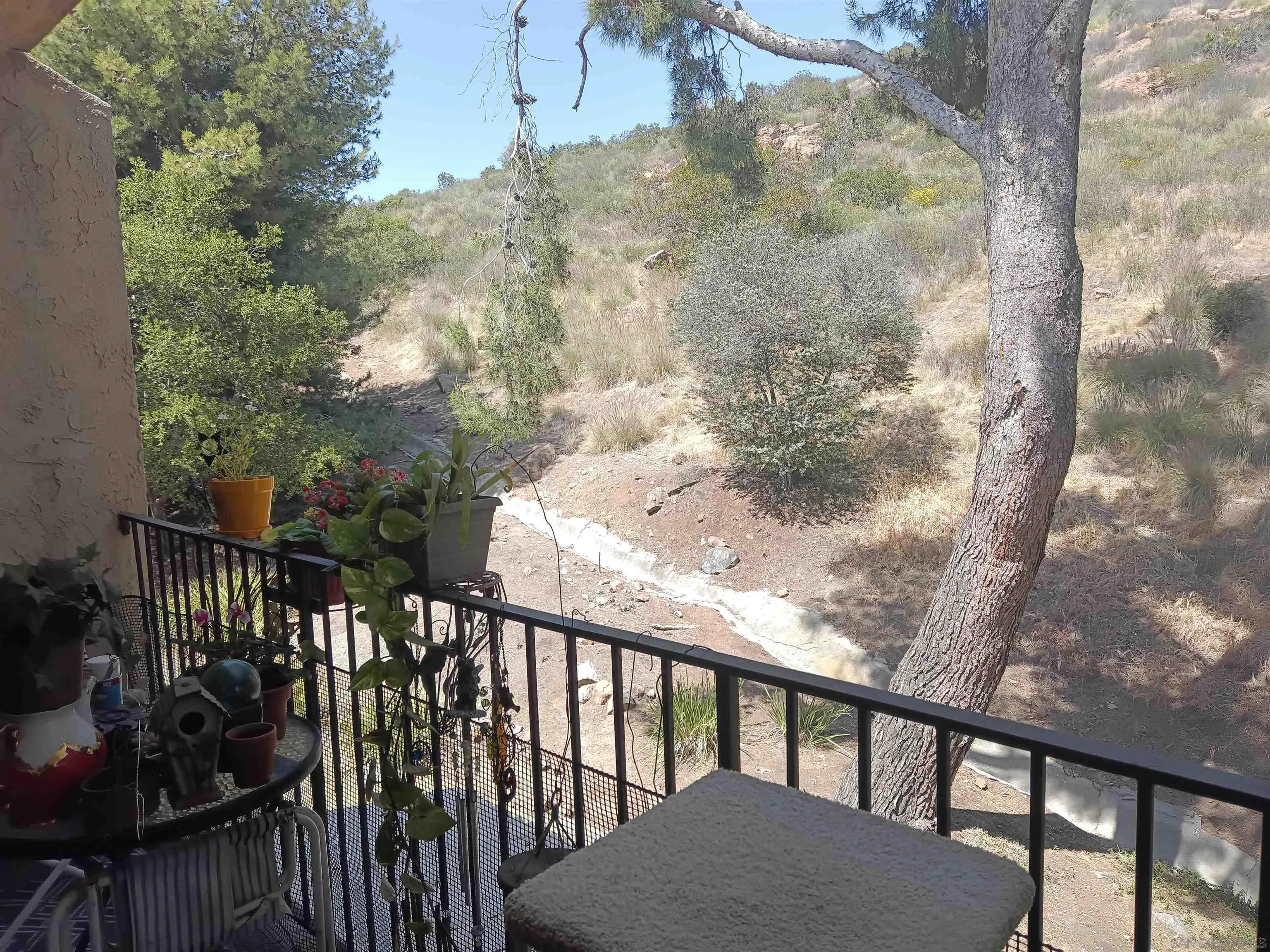 Photo #4: 250028510 Listing: Photo #4