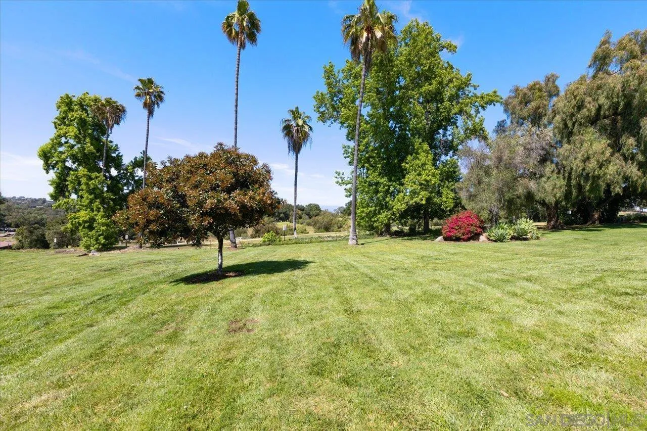 Photo #17: 250028888 Listing: Photo #17