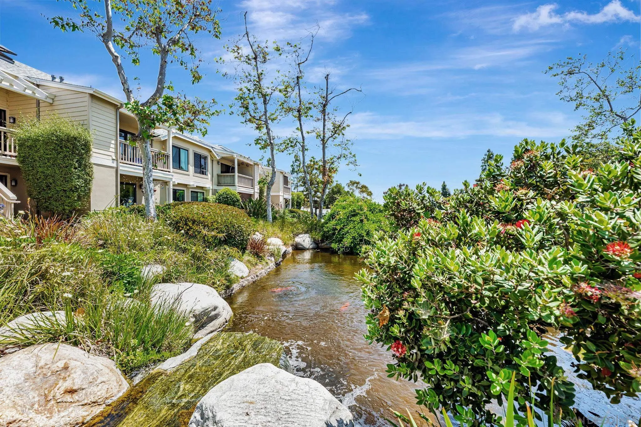 Photo #3: 250029134 Listing 