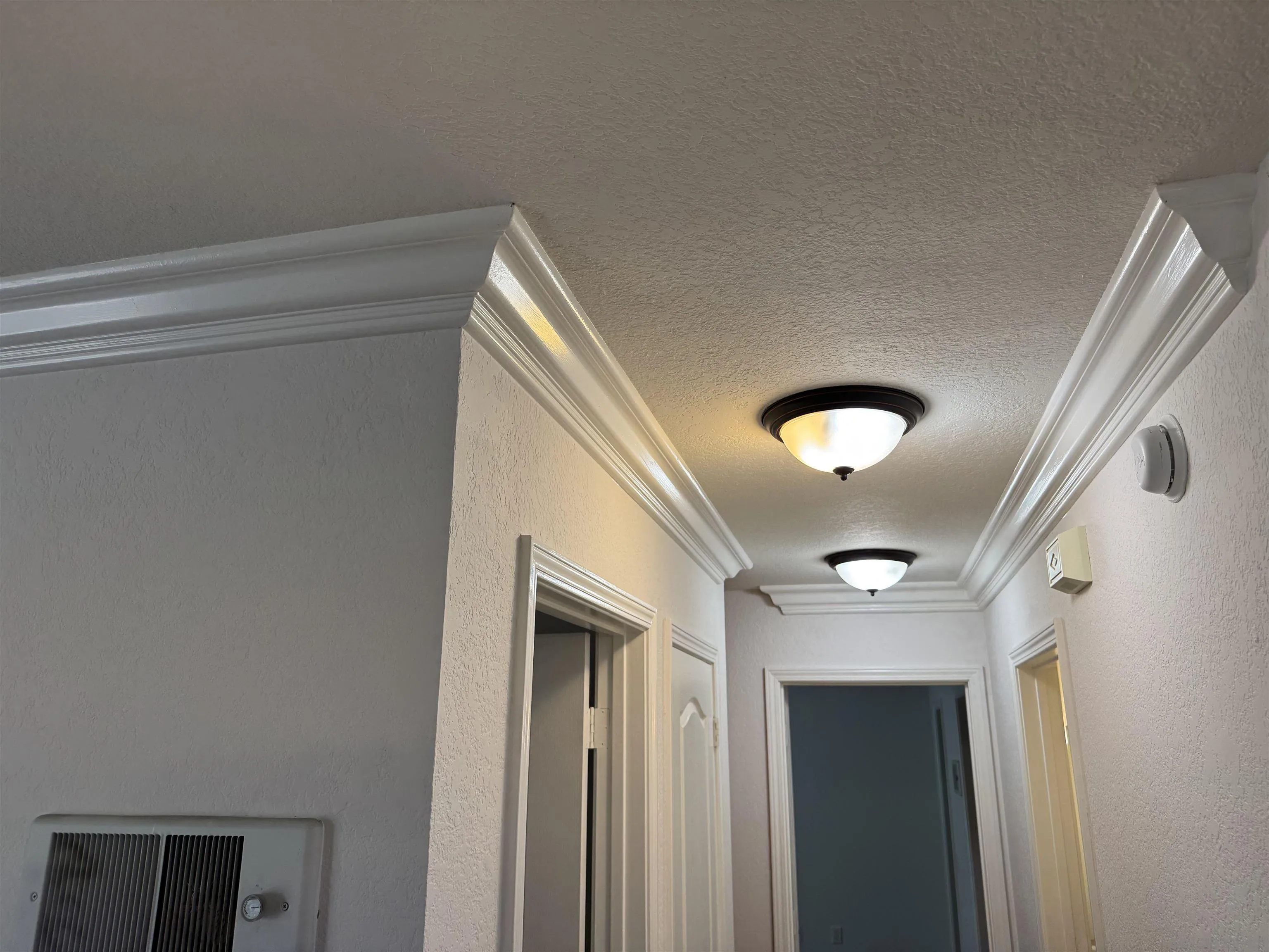 Photo #19: 250029299 Listing: Photo #19