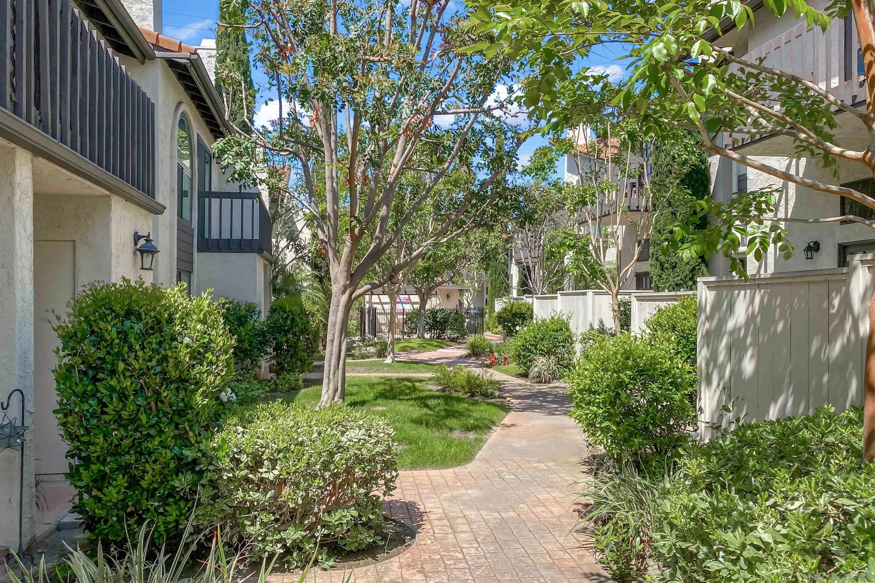 Photo #5: 250029315 Listing 