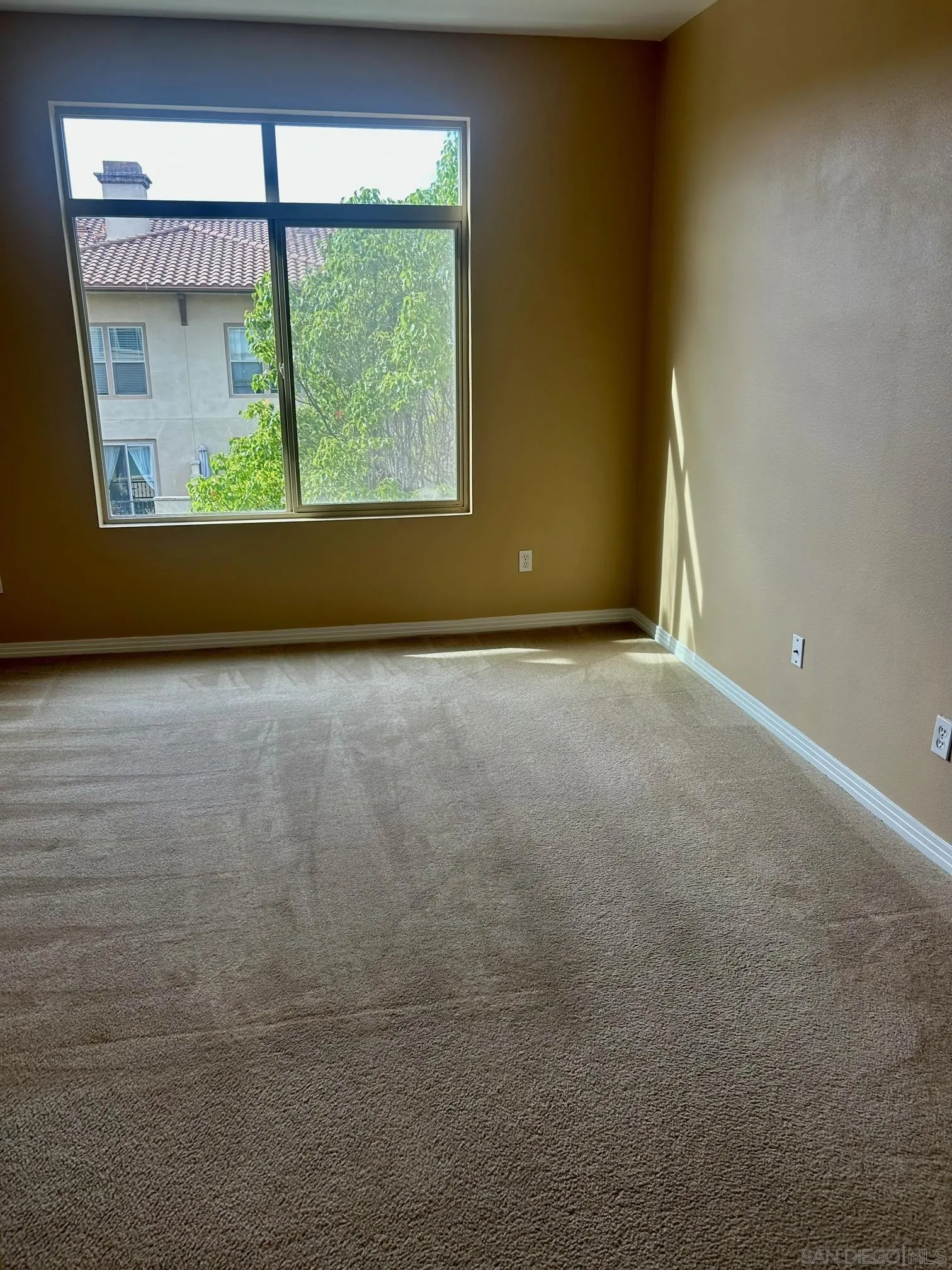 Photo #9: 250029422 Listing: Photo #9