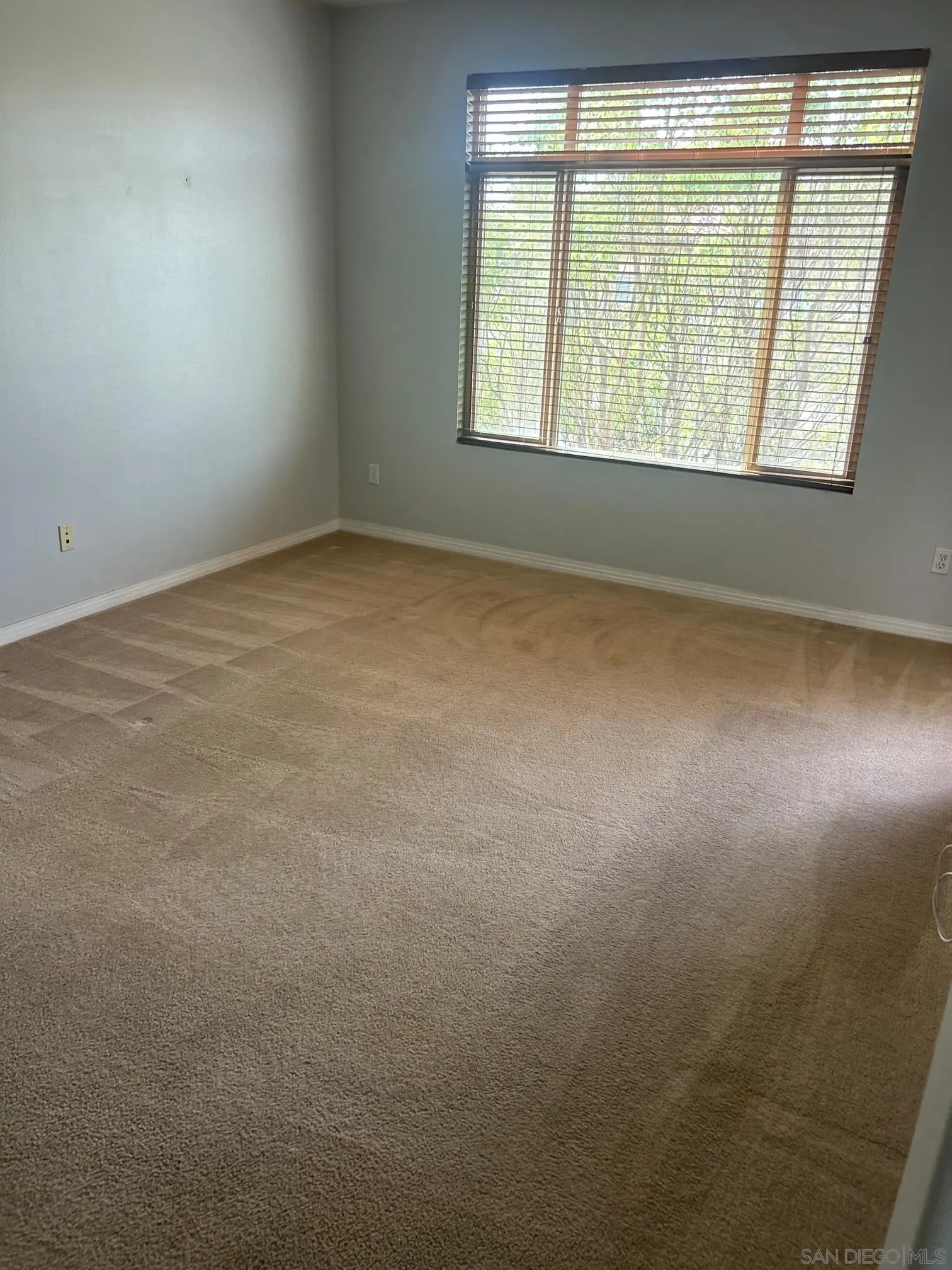 Photo #14: 250029422 Listing: Photo #14
