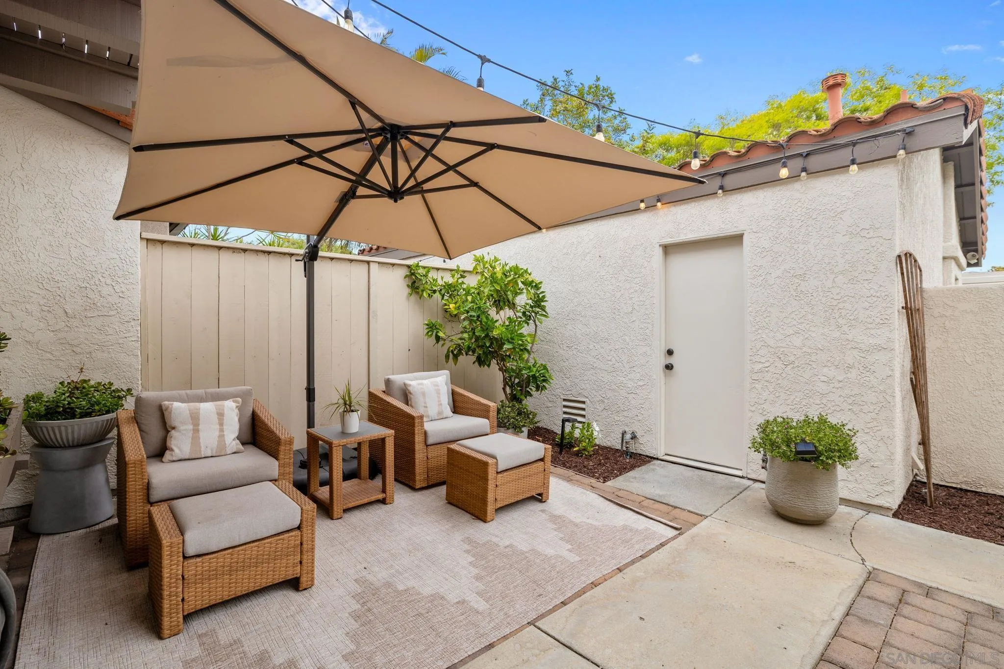 Photo #6: 250029601 Listing 