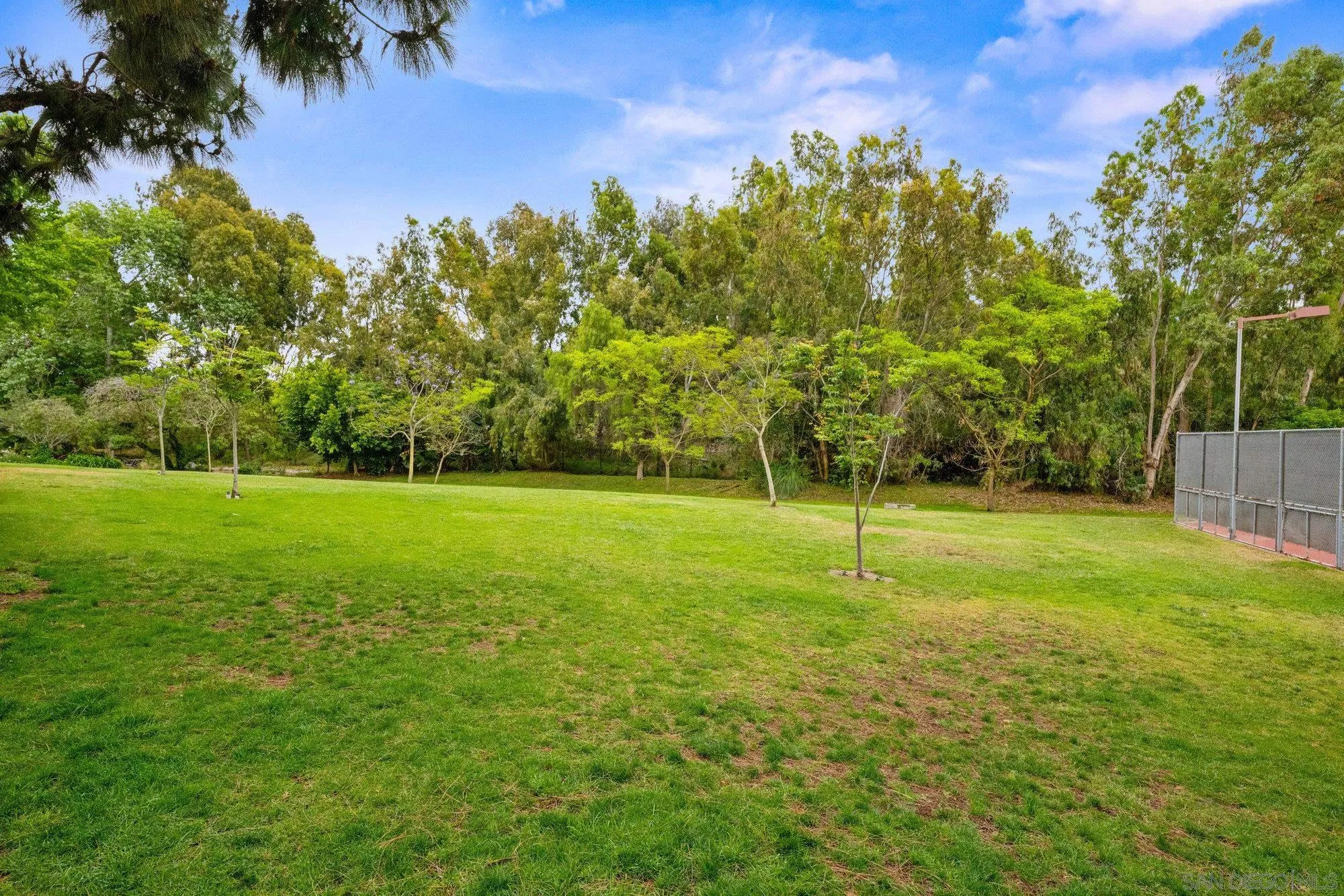 Photo #33: 250029801 Listing: Photo #33