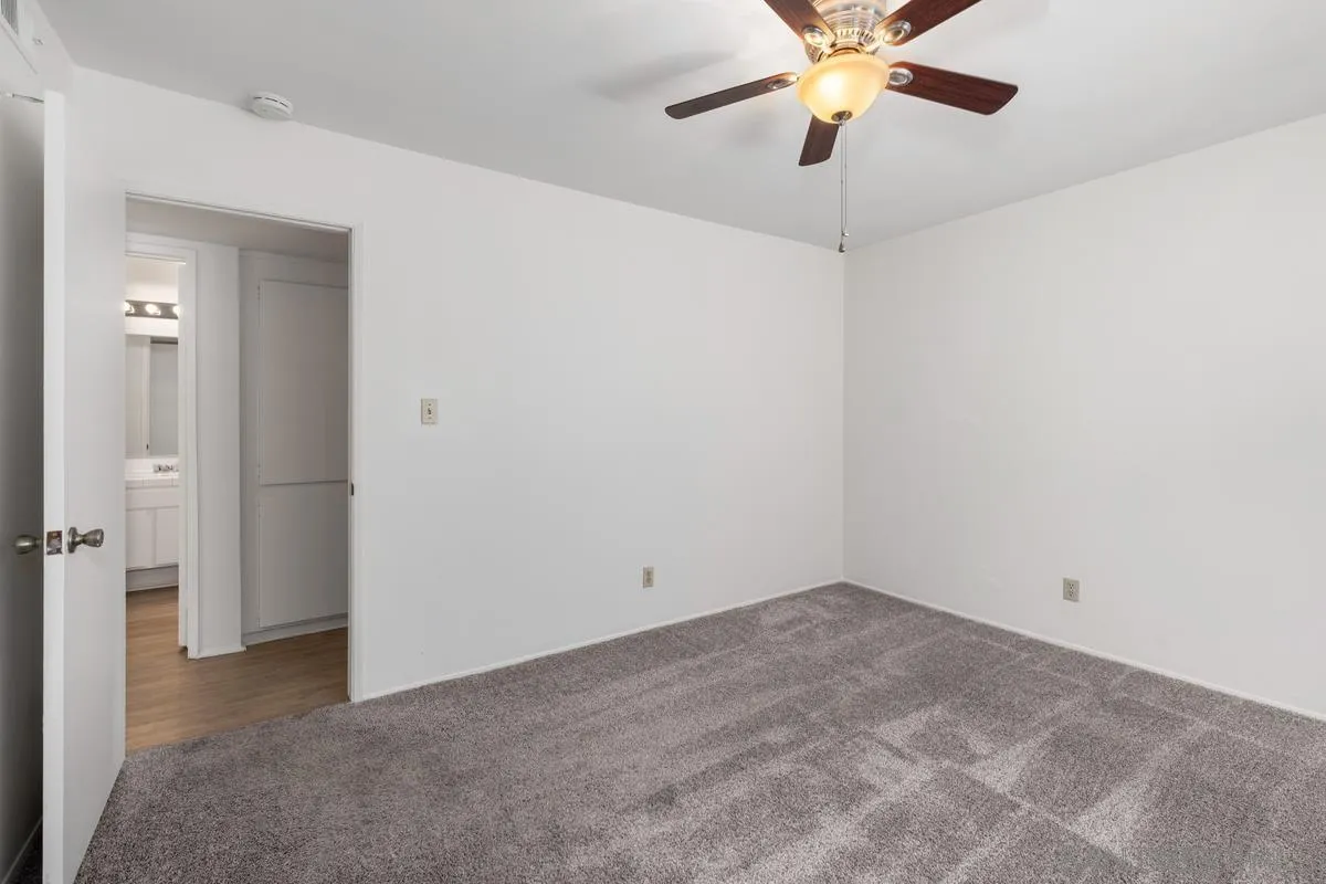 Photo #27: 250029935 Listing: Photo #27