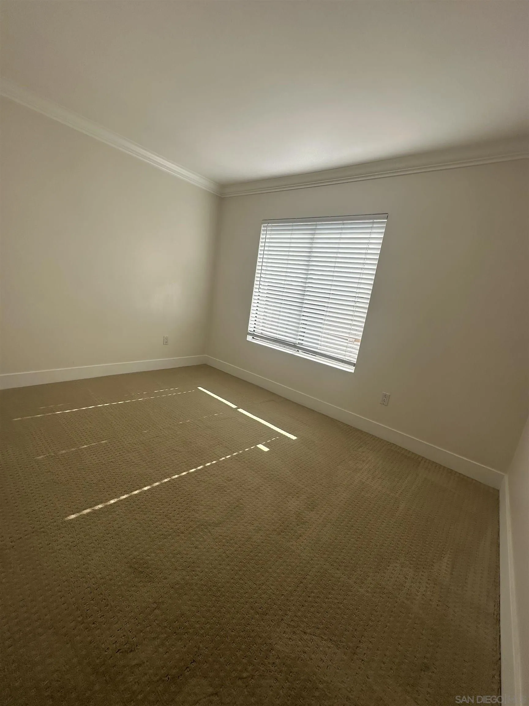 Photo #3: 250029995 Listing 