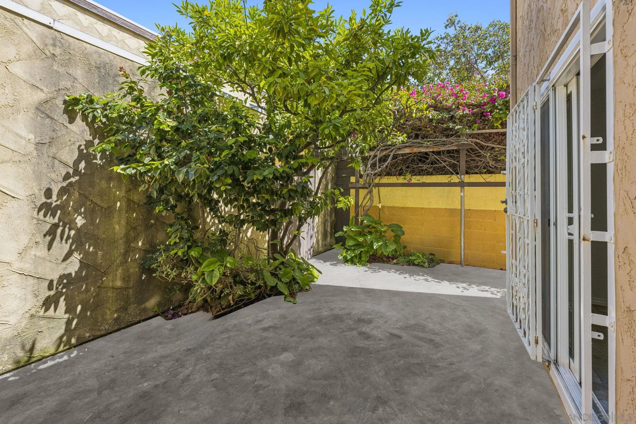 Photo #5: 250030168 Listing 