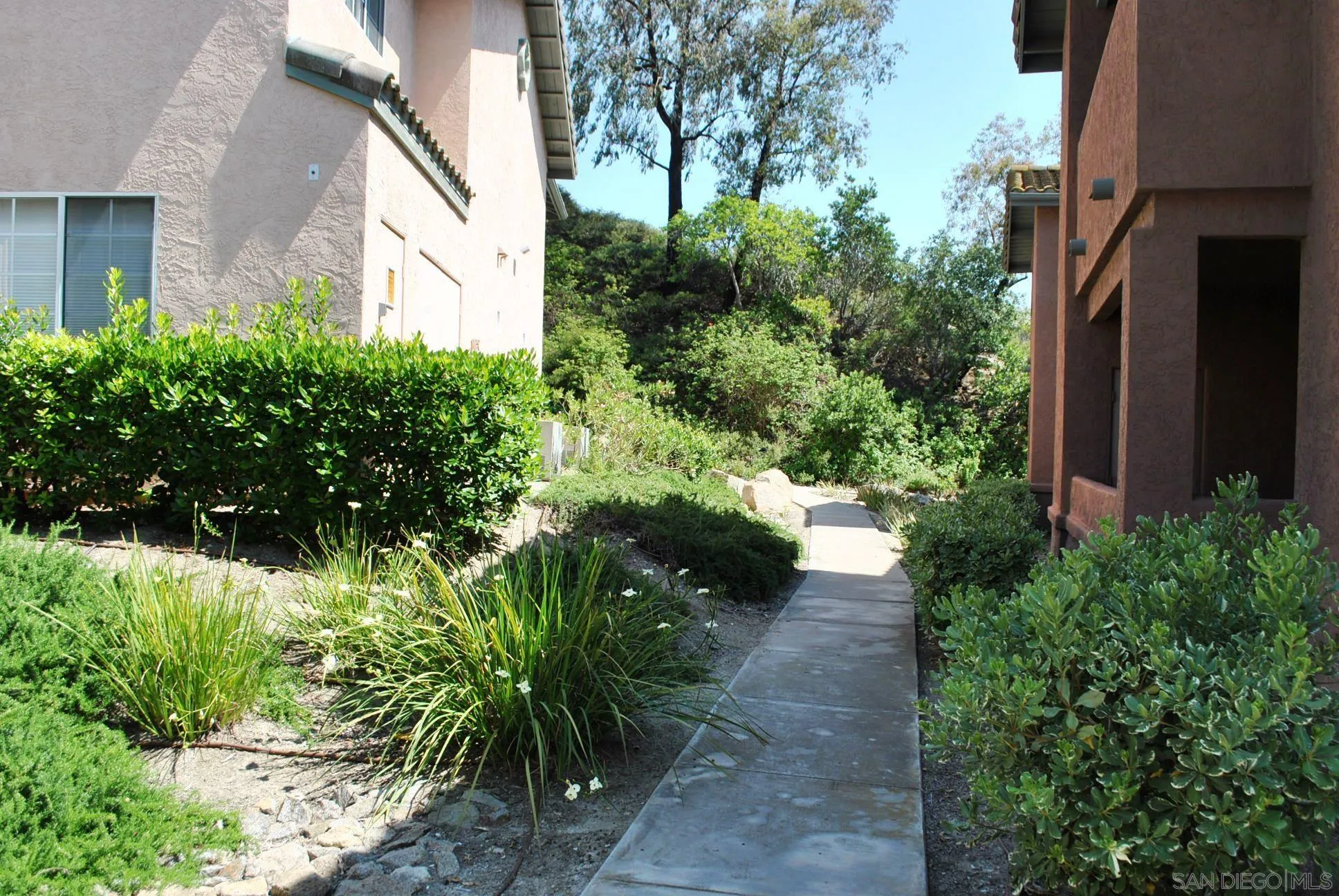 Photo #3: 250030228 Listing 