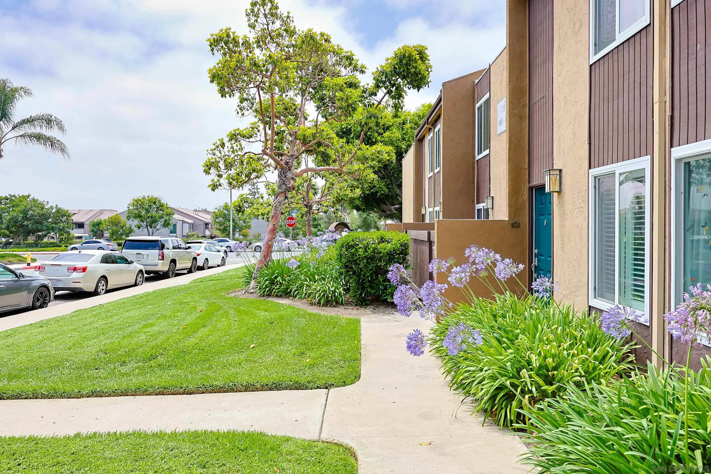 Photo #8: 250030574 Listing: Photo #8