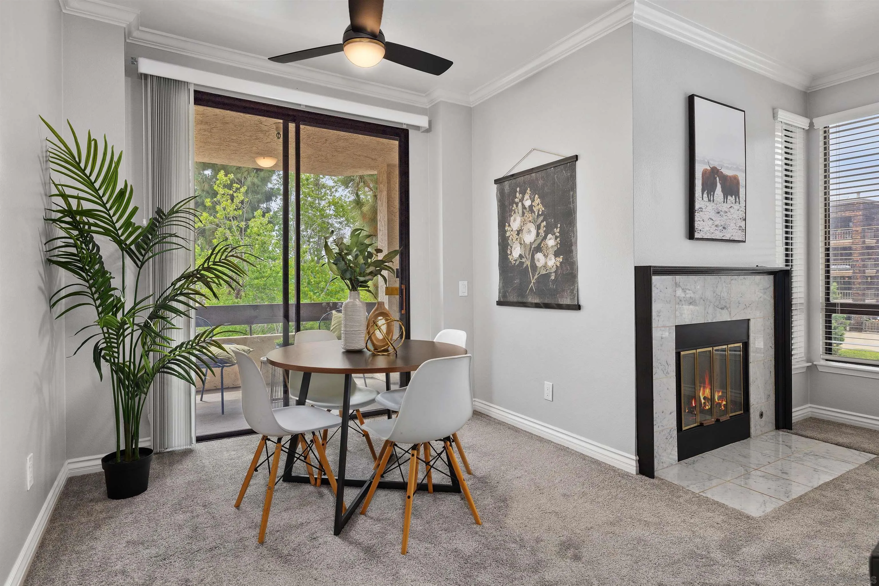 Photo #8: 250030616 Listing: Photo #8