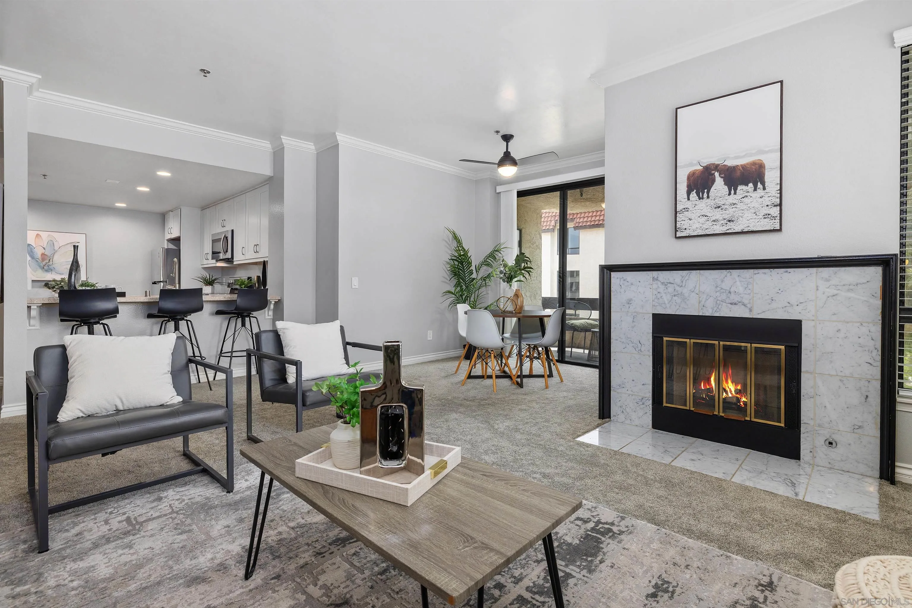 Photo #4: 250030616 Listing 