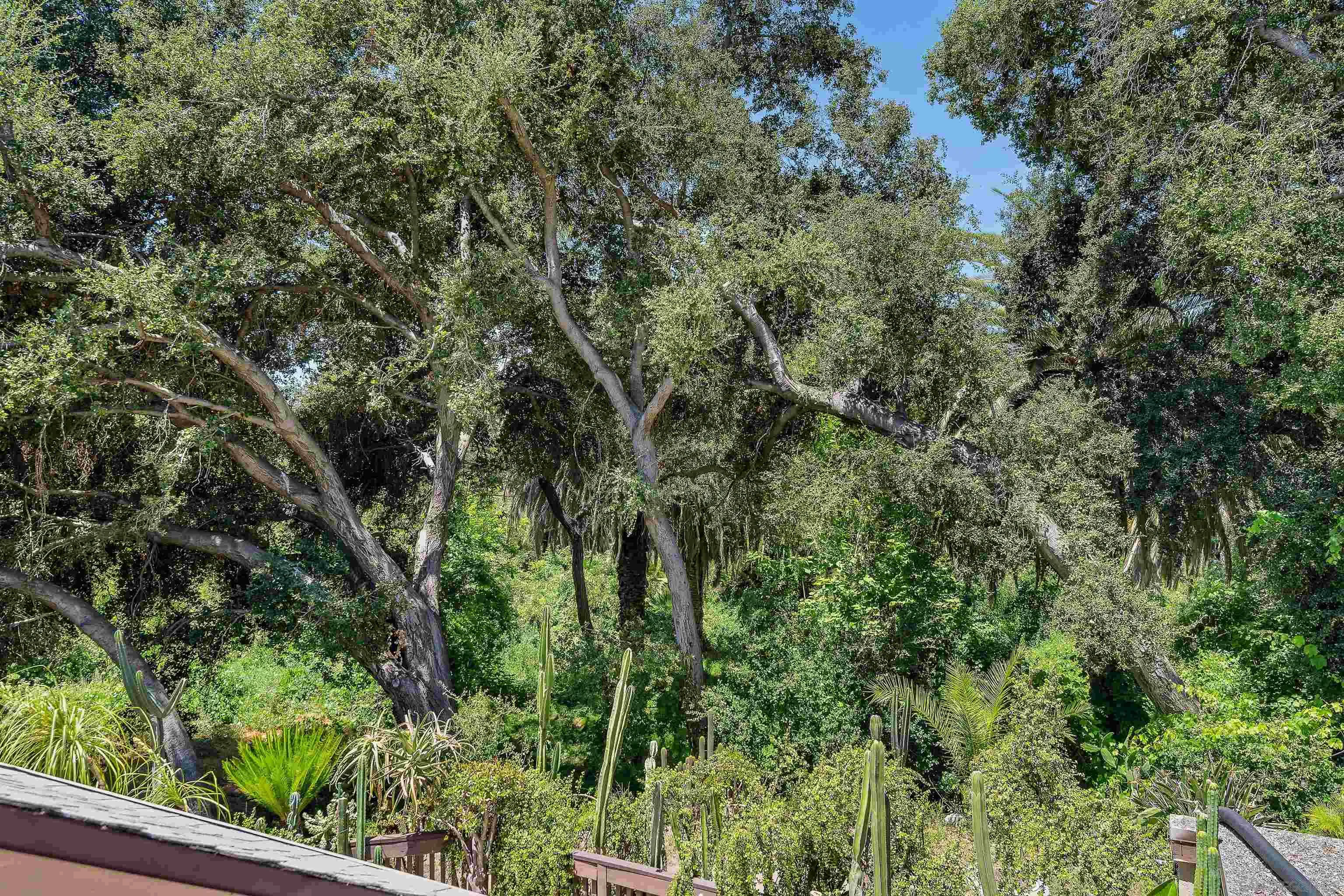 Photo #13: 250030646 Listing: Photo #13