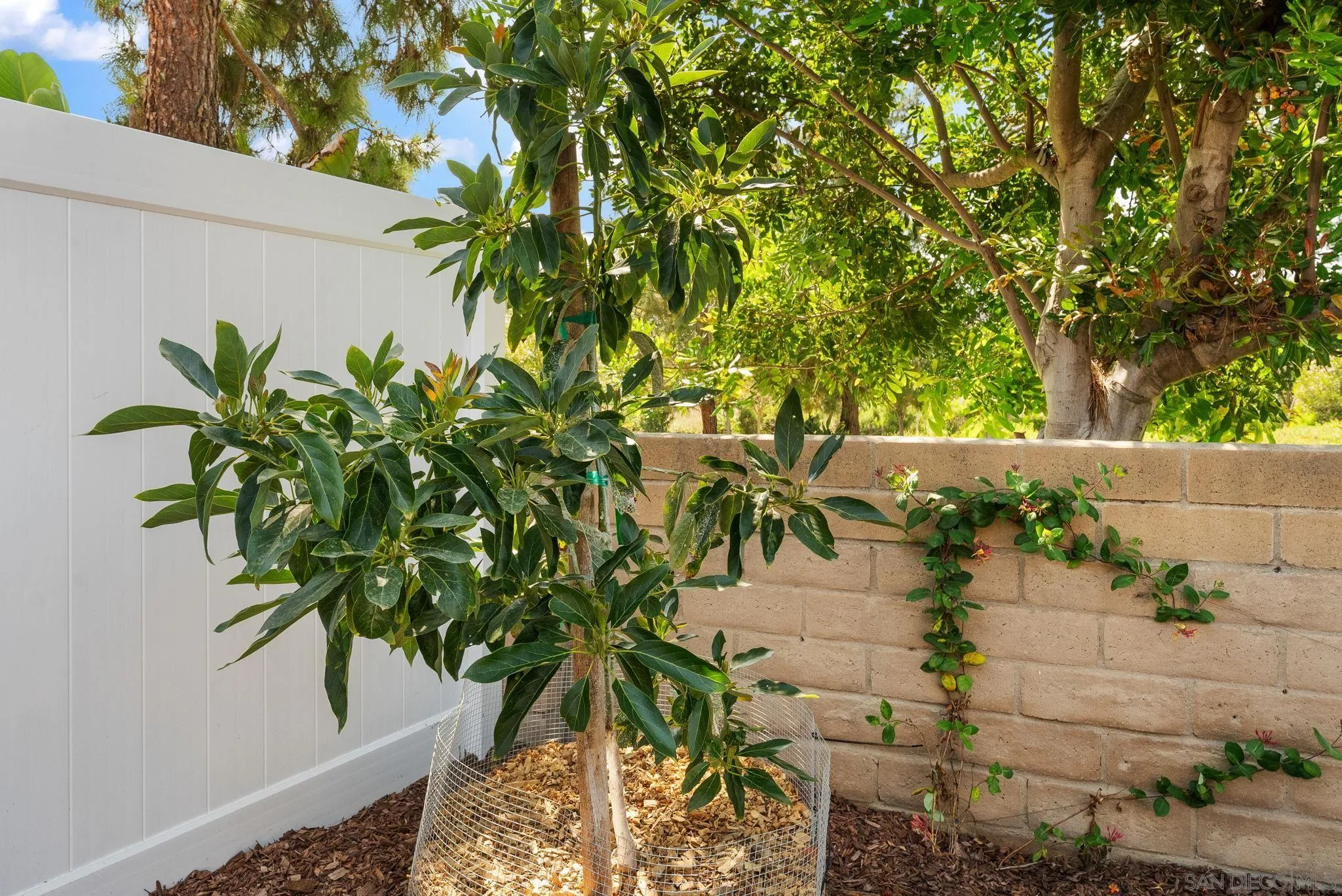 https://cdn.realtyfeed.com/cdn/127/250030767/0c7d97e9ed1d882138ccb1713535825c.webp