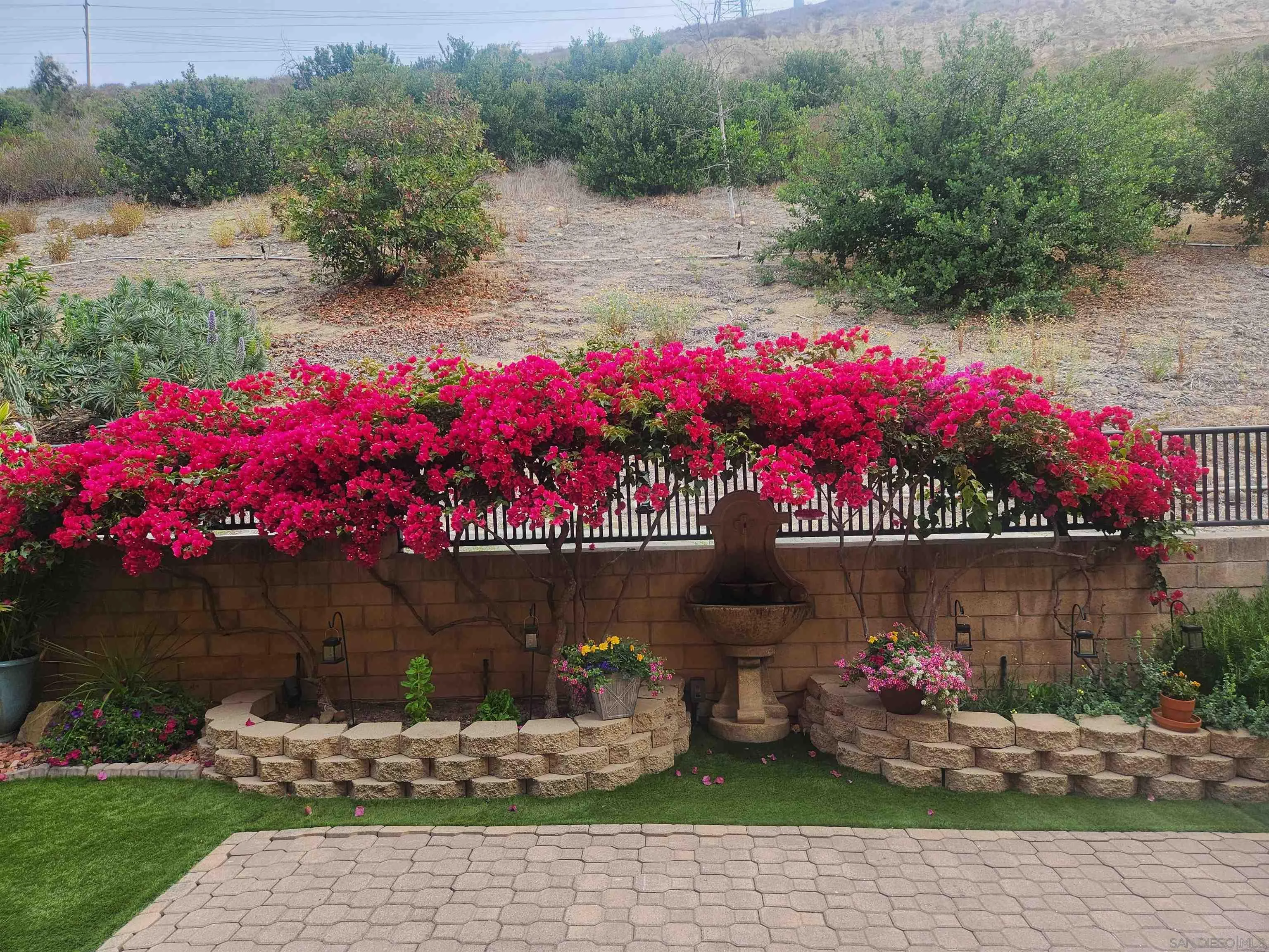 Photo #36: 250030979 Listing: Photo #36