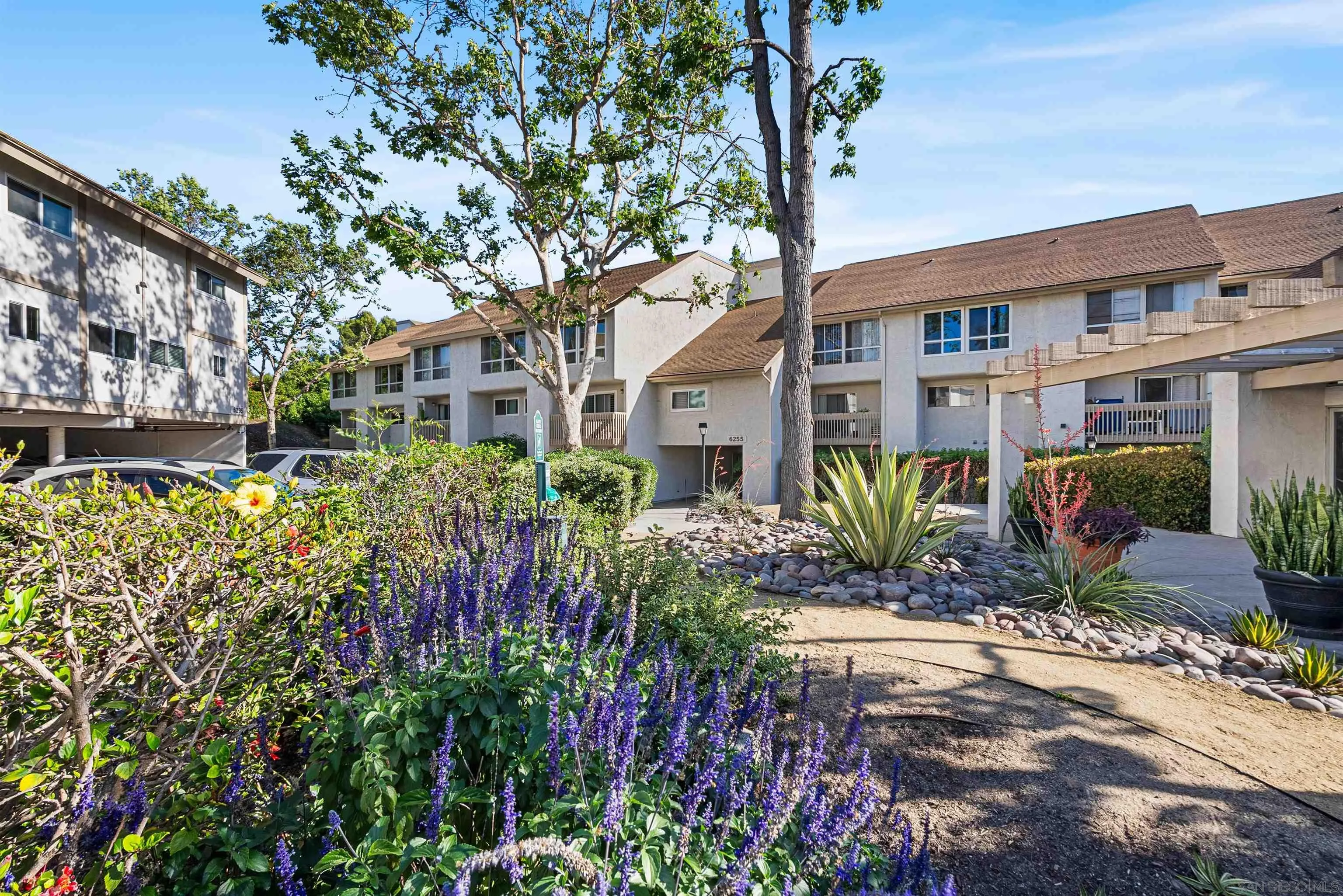 Photo #5: 250031169 Listing 