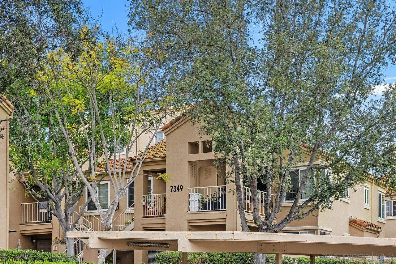 Photo #35: 250031176 Listing: Photo #35