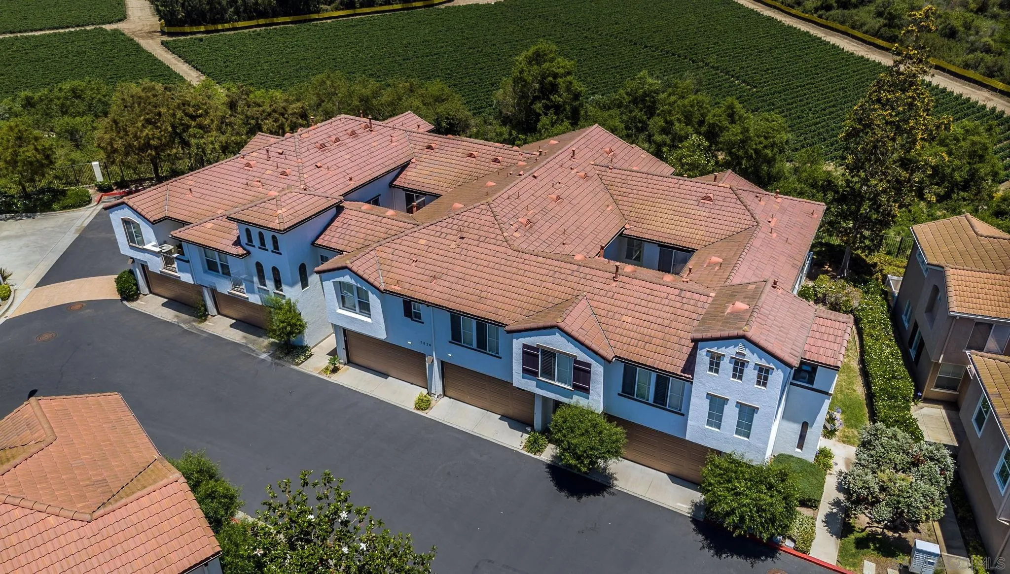 Photo #6: 250031487 Listing 