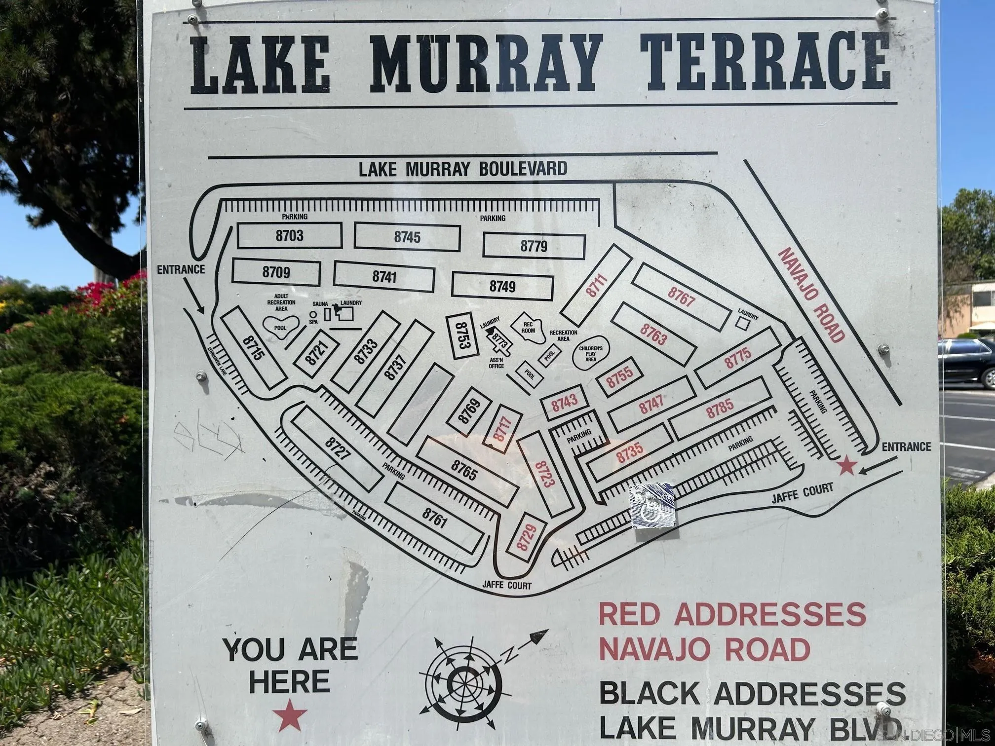 Photo #6: 250031607 Listing 