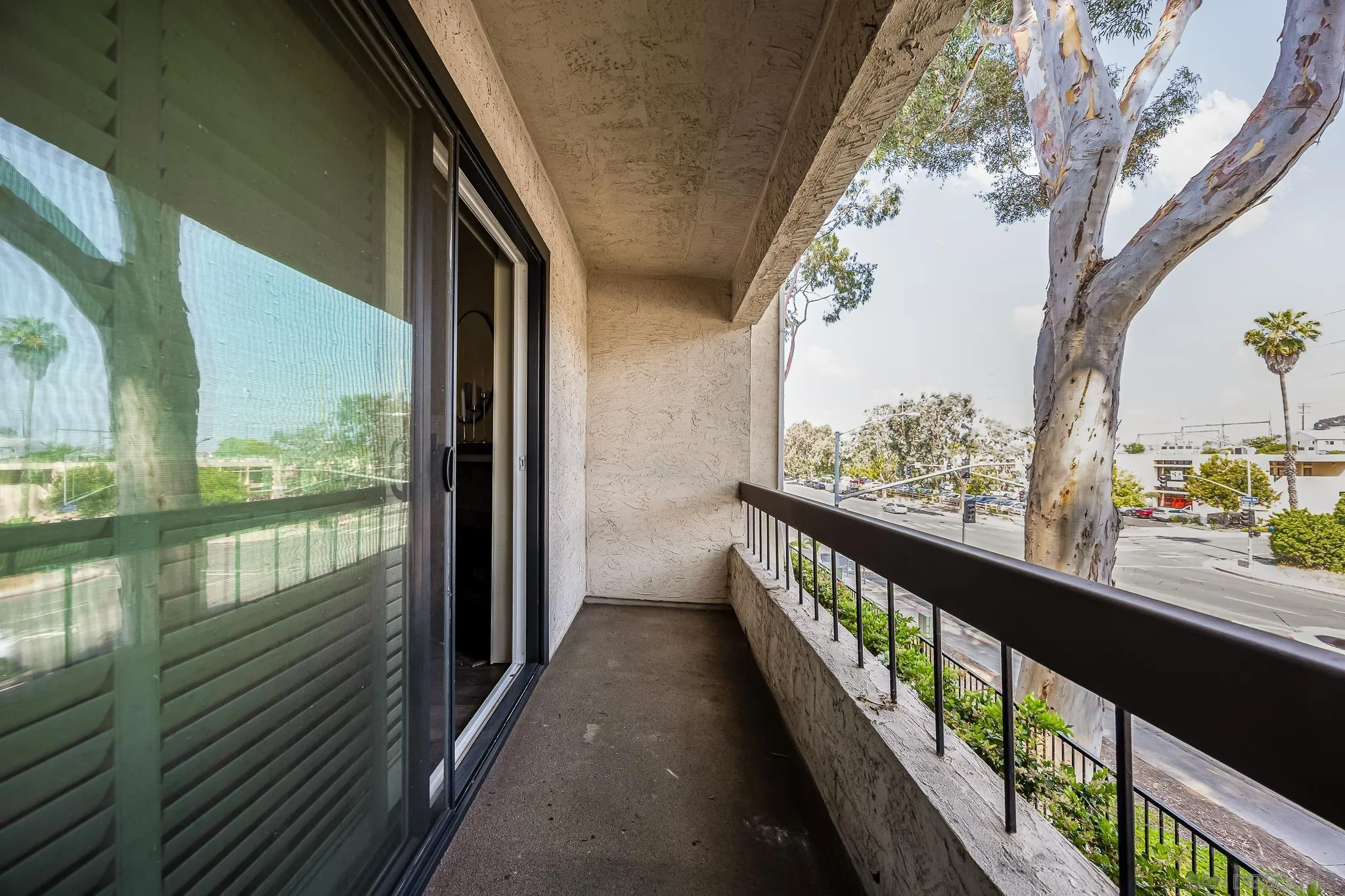 Photo #6: 250031792 Listing 