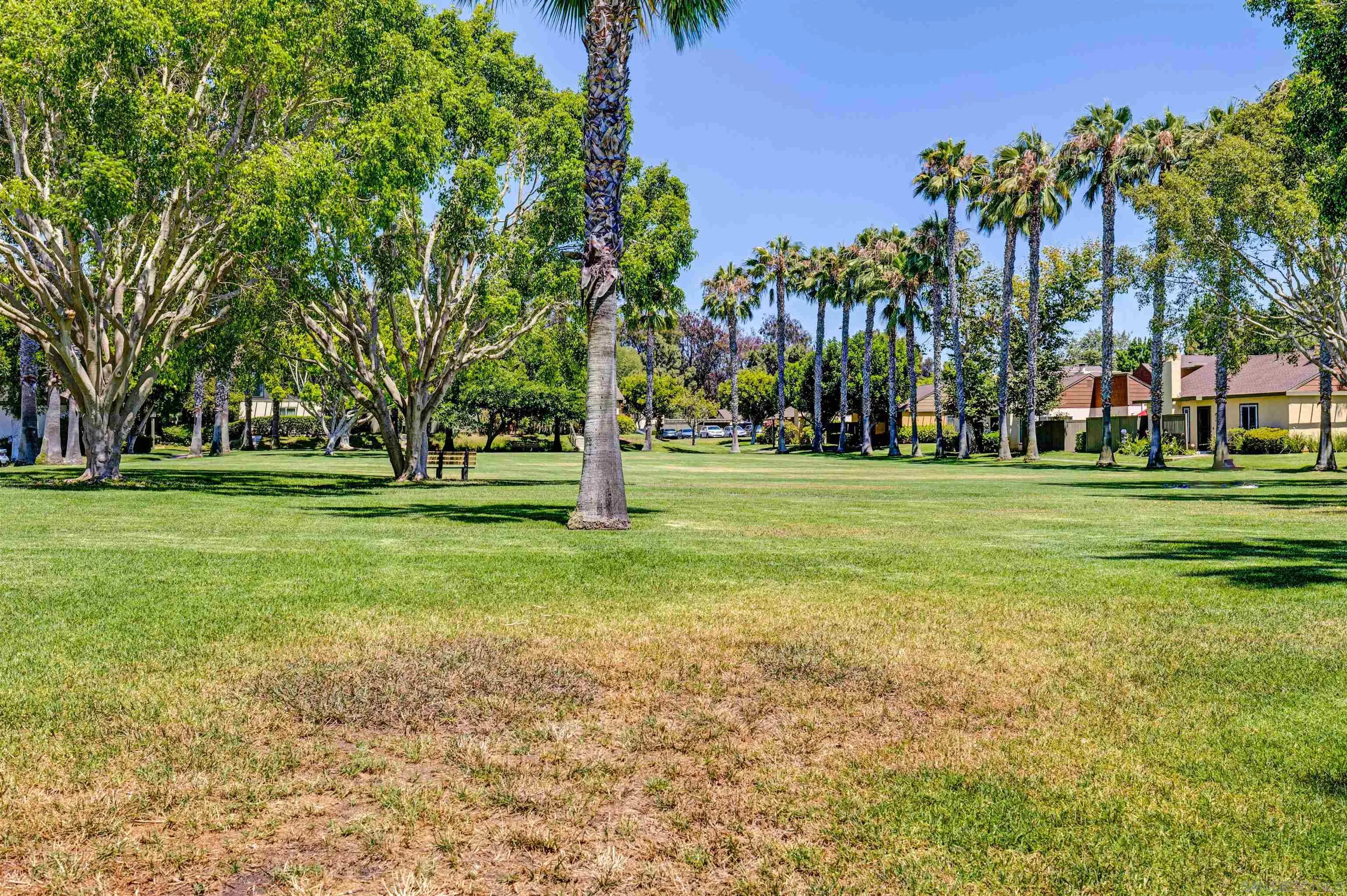 Photo #31: 250033454 Listing: Photo #31