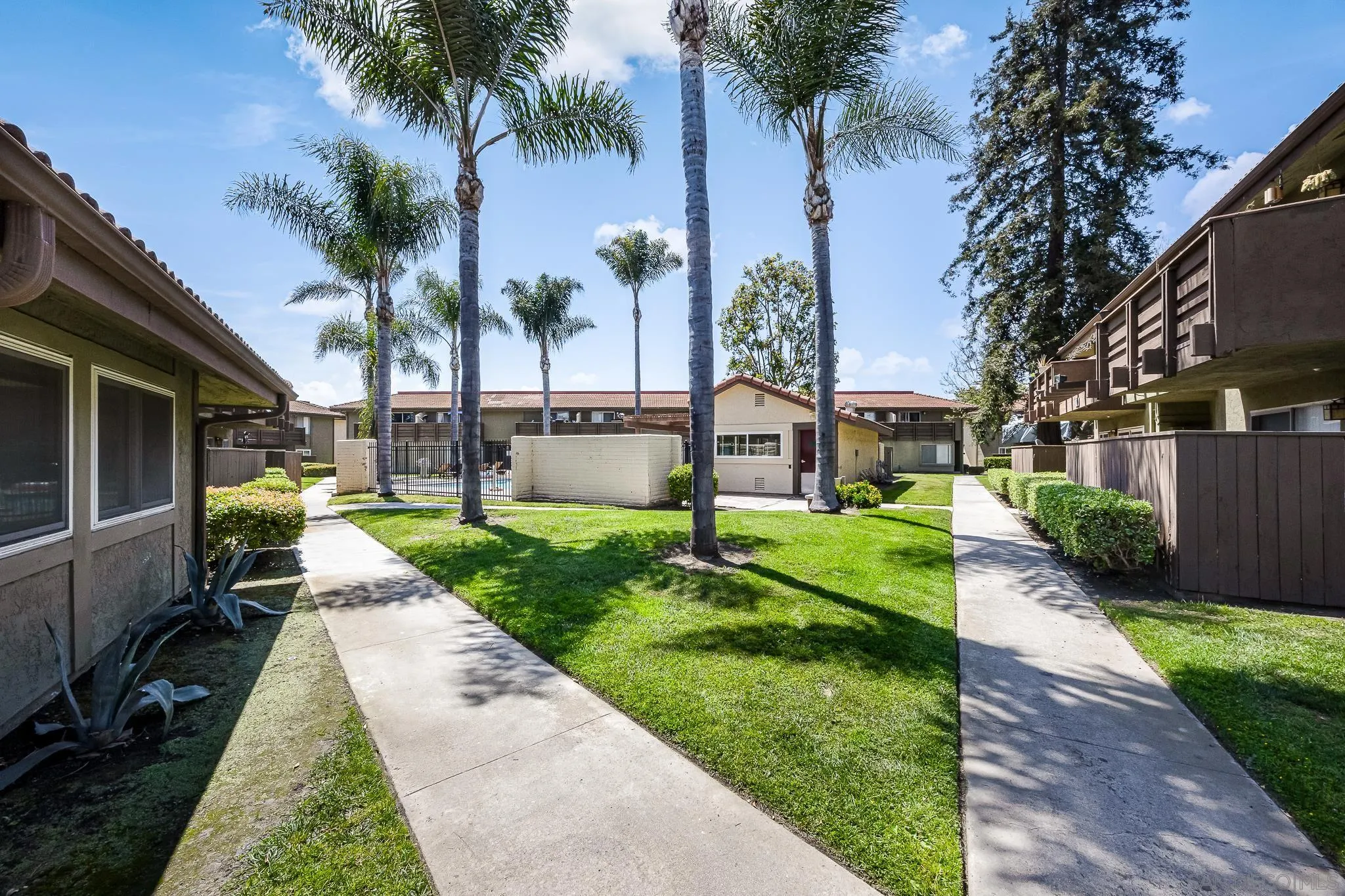 Photo #31: 250033486 Listing: Photo #31