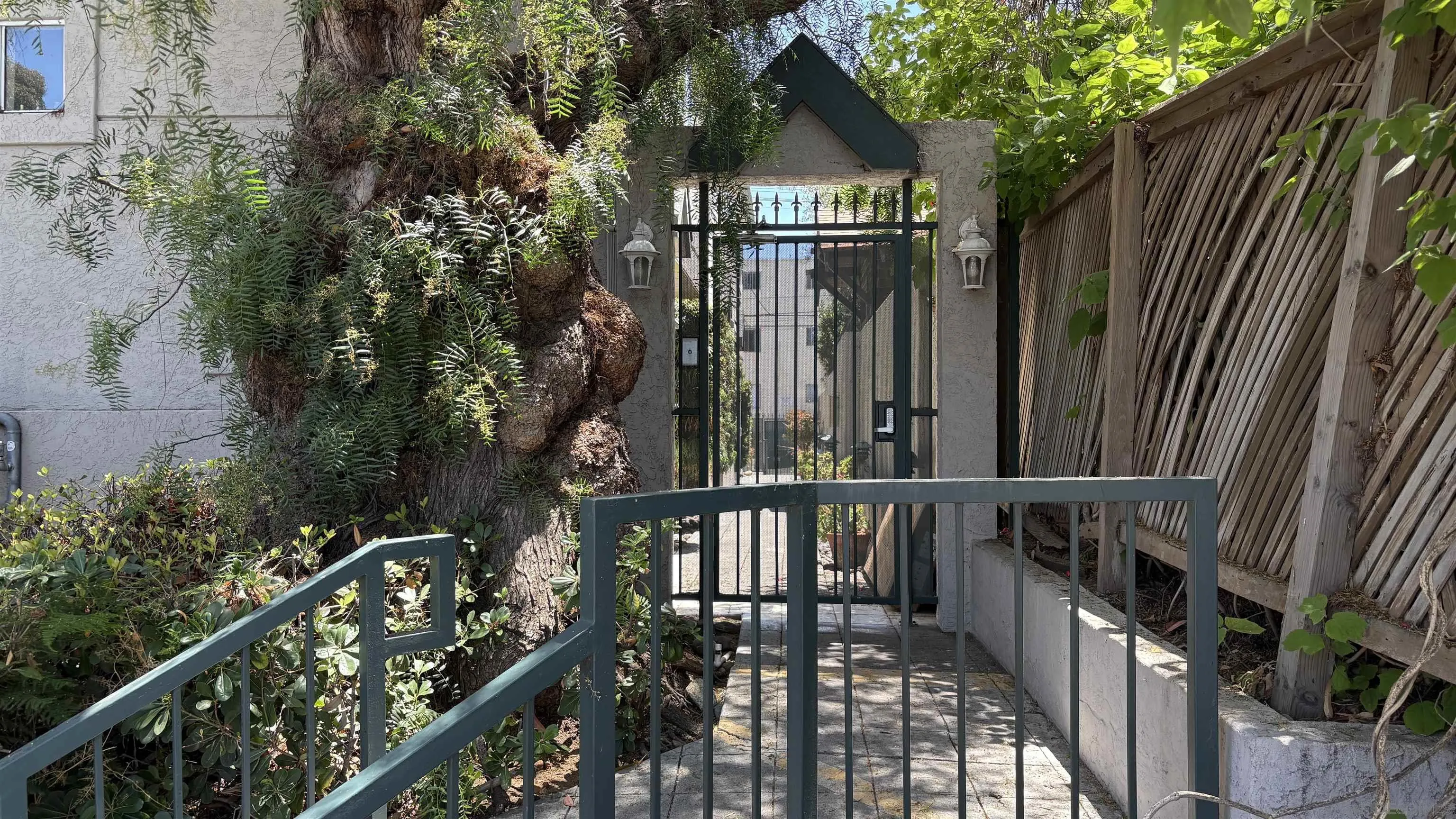 Photo #2: 250033500 Listing 