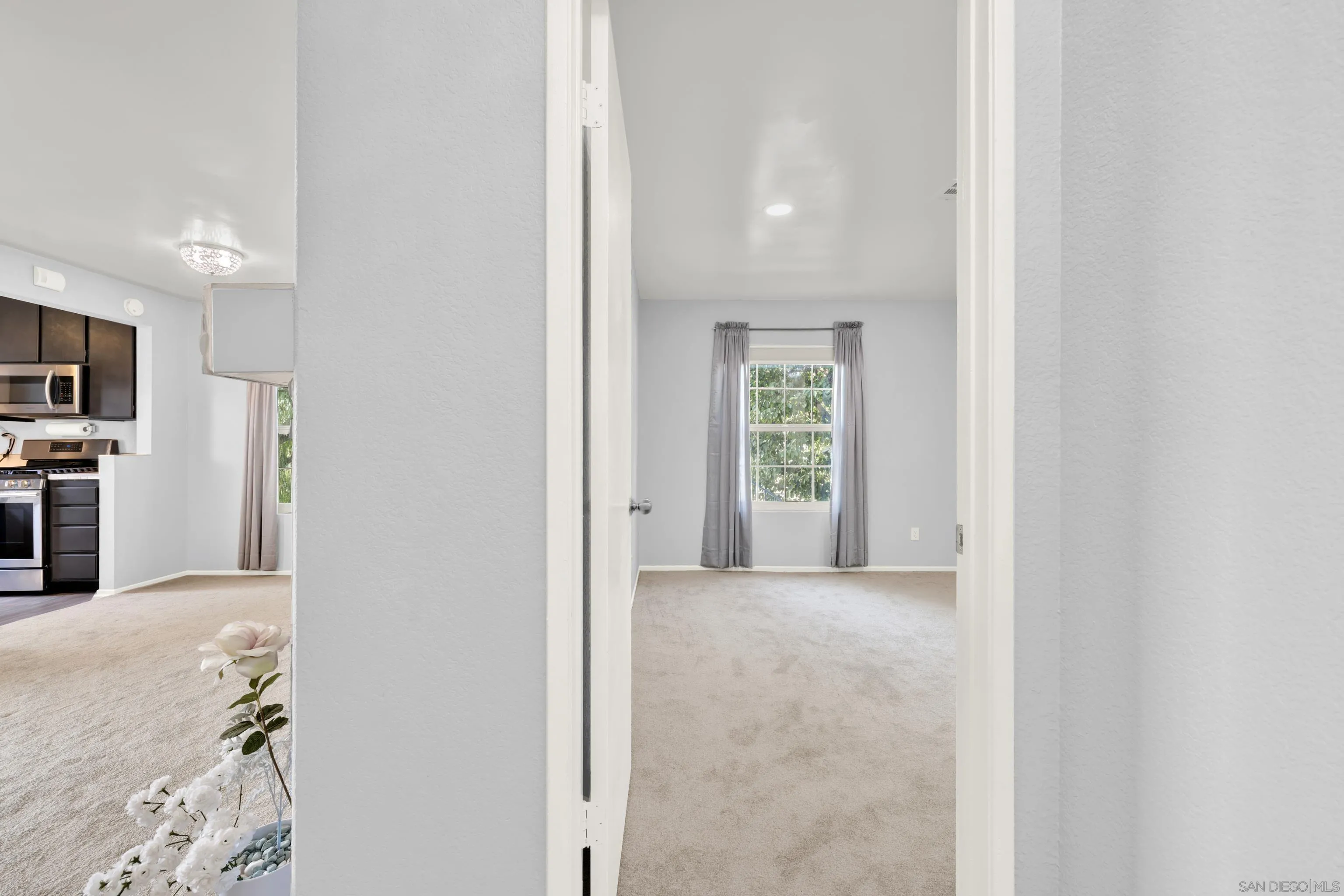 Photo #13: 250033545 Listing: Photo #13