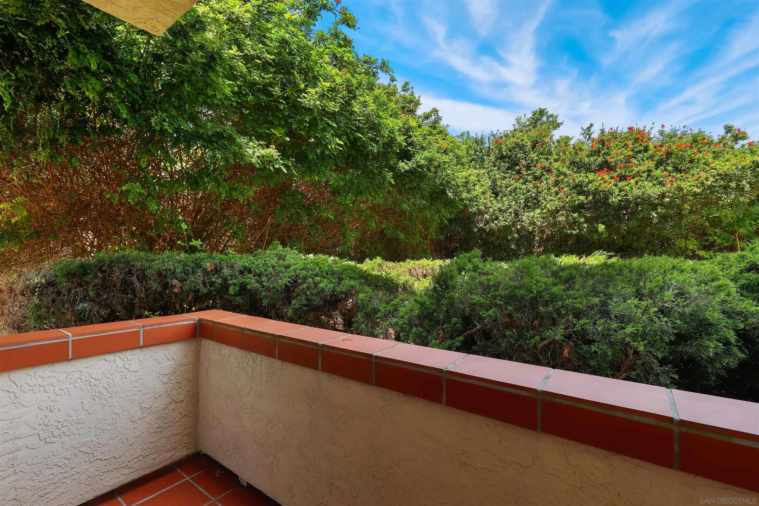 Photo #19: 250033554 Listing: Photo #19